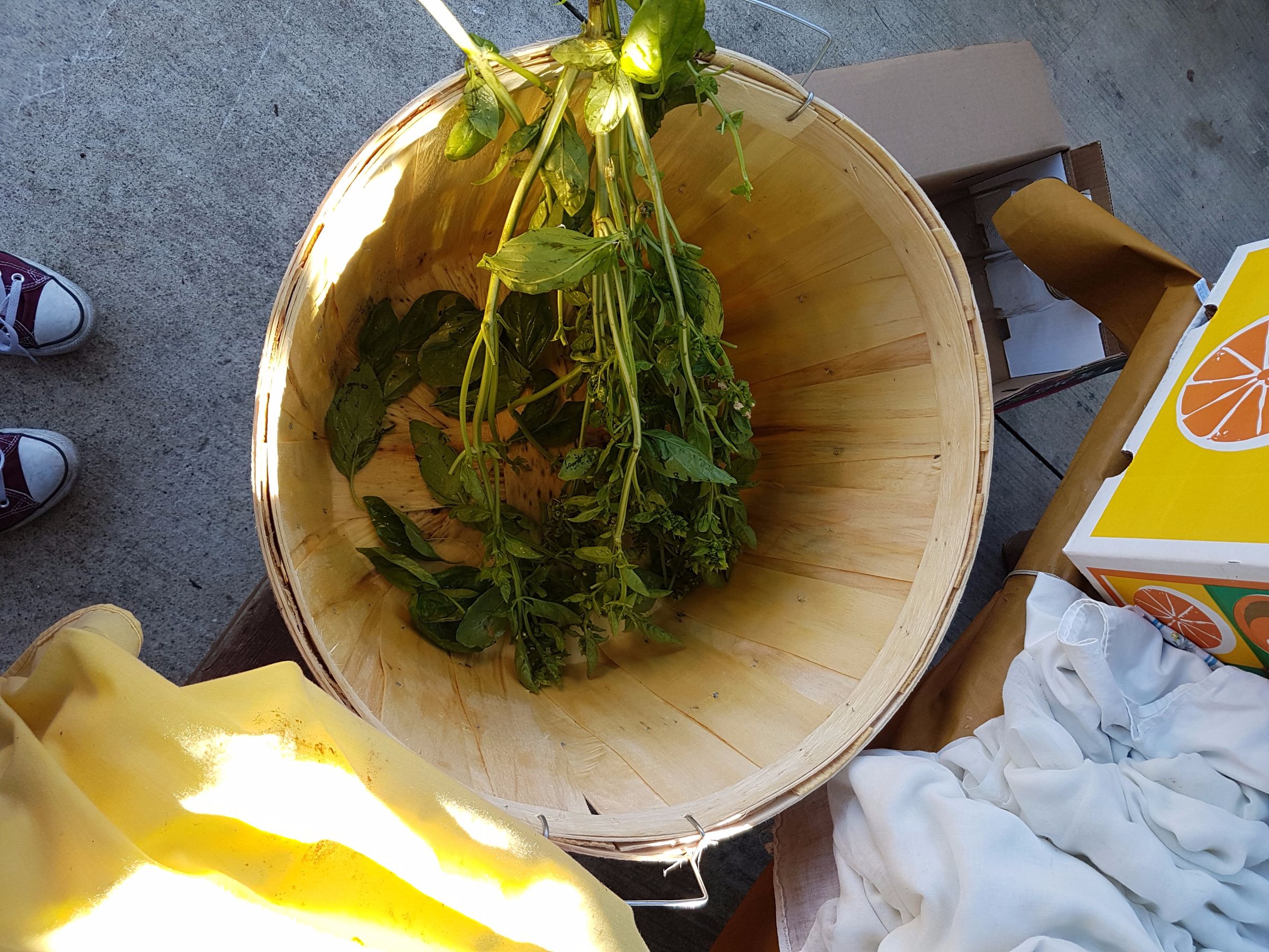 20170909_083538.jpg