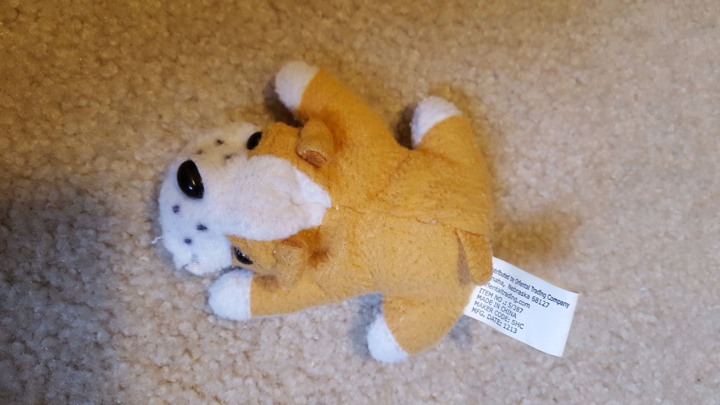 20171004_172342[1].jpg