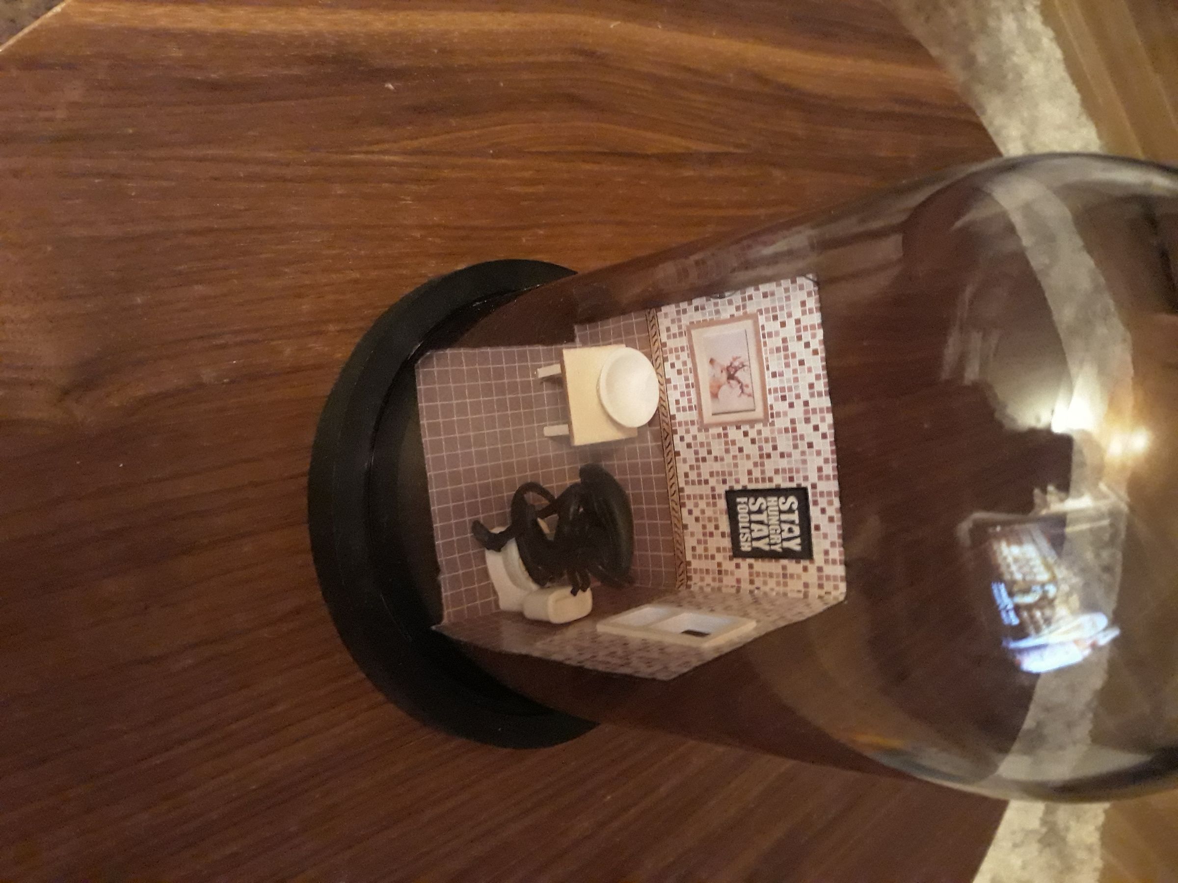 20171213_232802.jpg