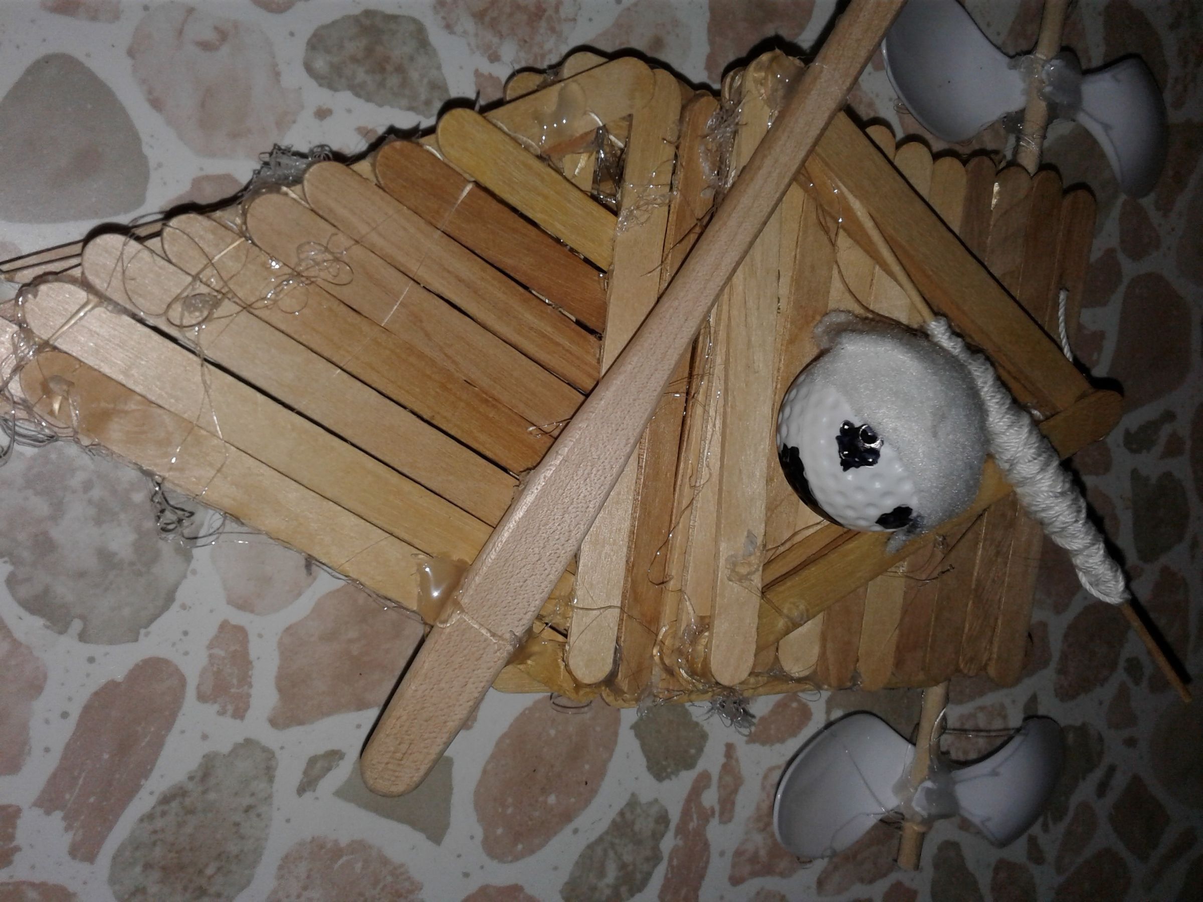 20180131_071626.jpg