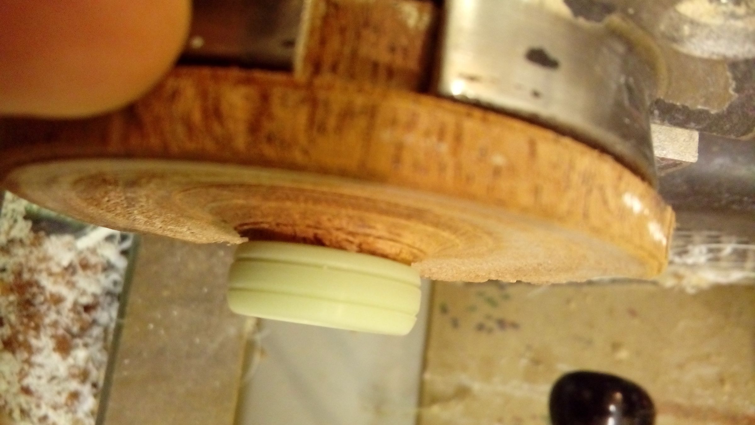20180326_174200.jpg