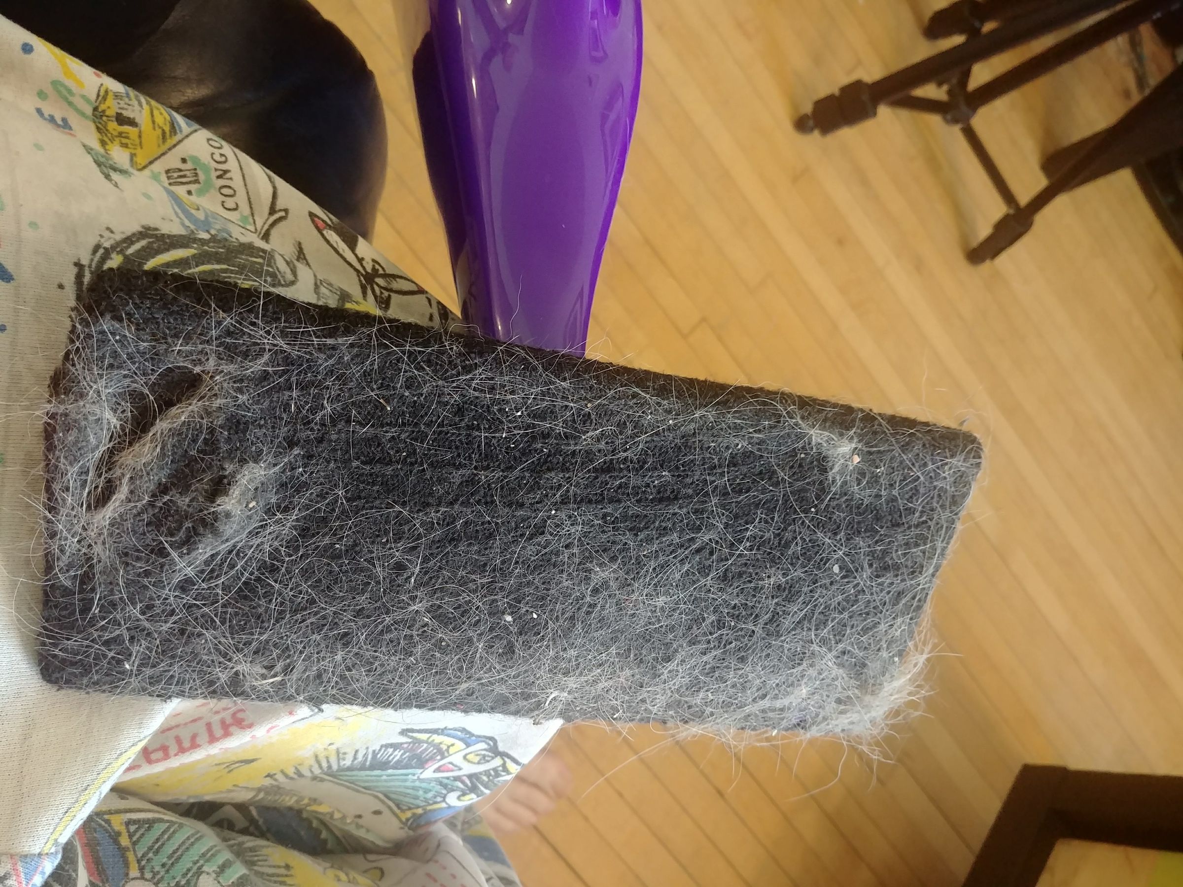 20180404_154758.jpg