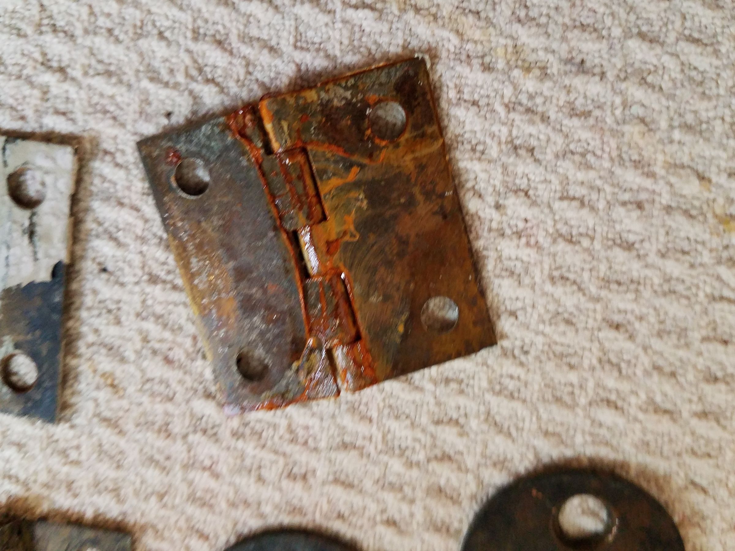 20180406_184737.jpg