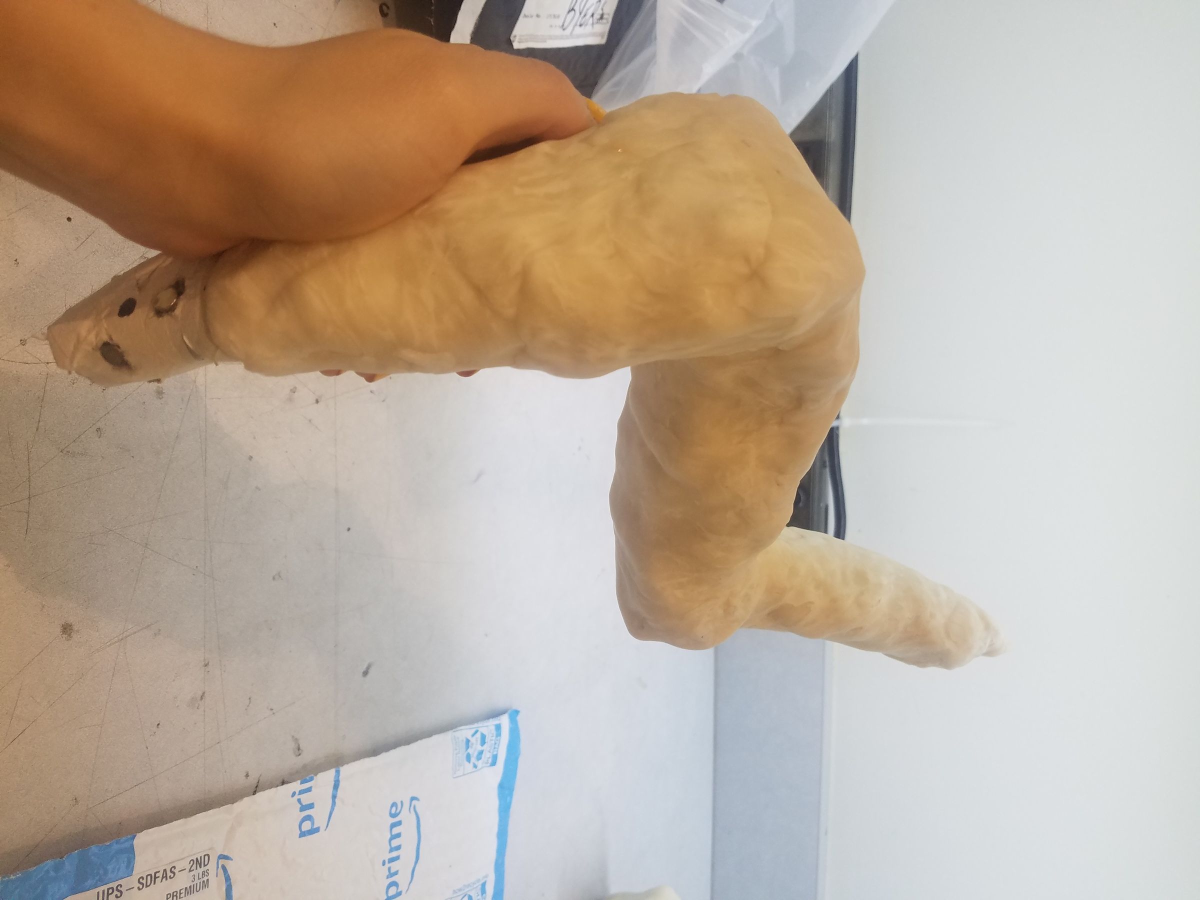 20180425_112343.jpg