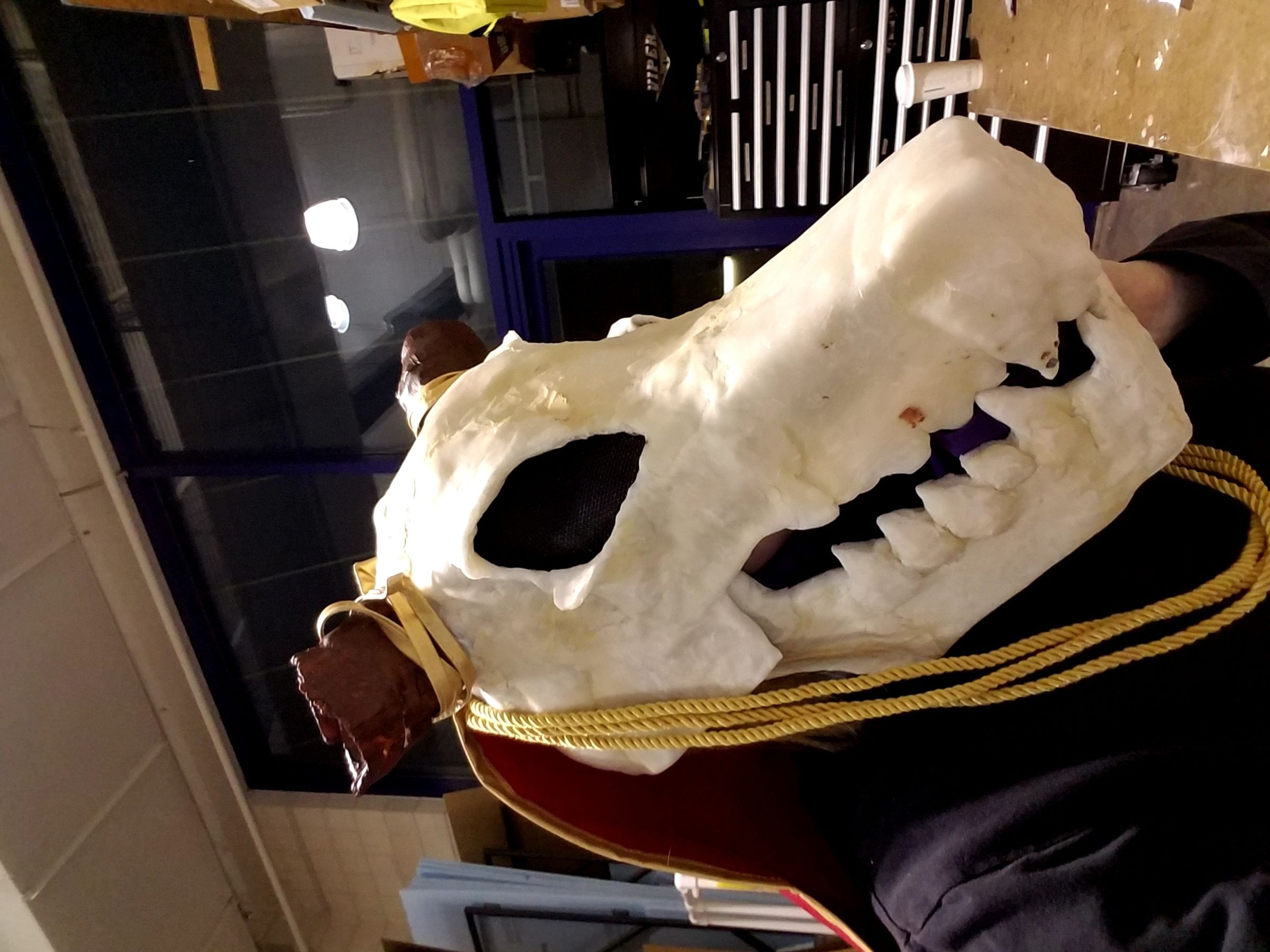 20180430_033705.jpg