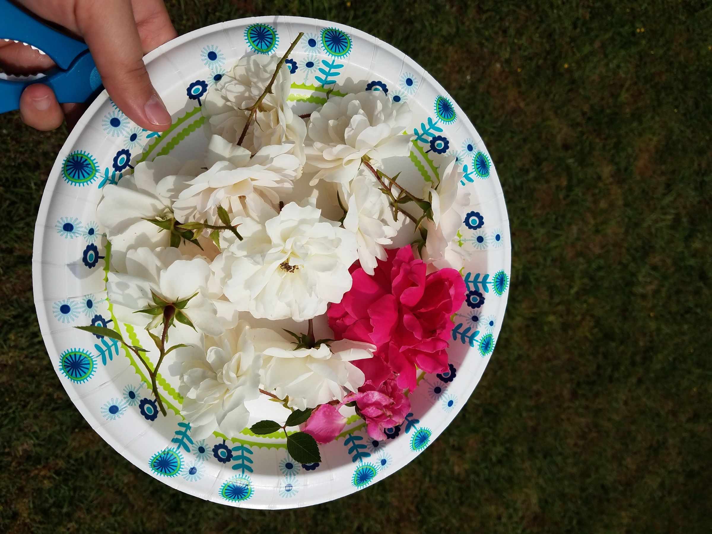 20180510_114202.jpg