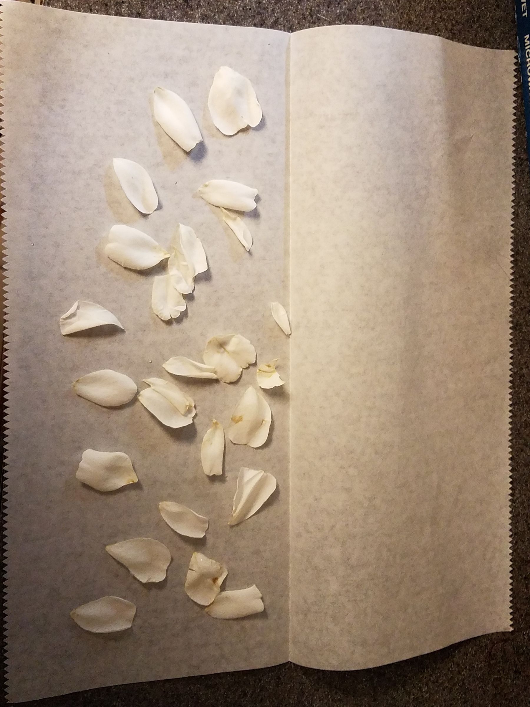 20180516_150645.jpg