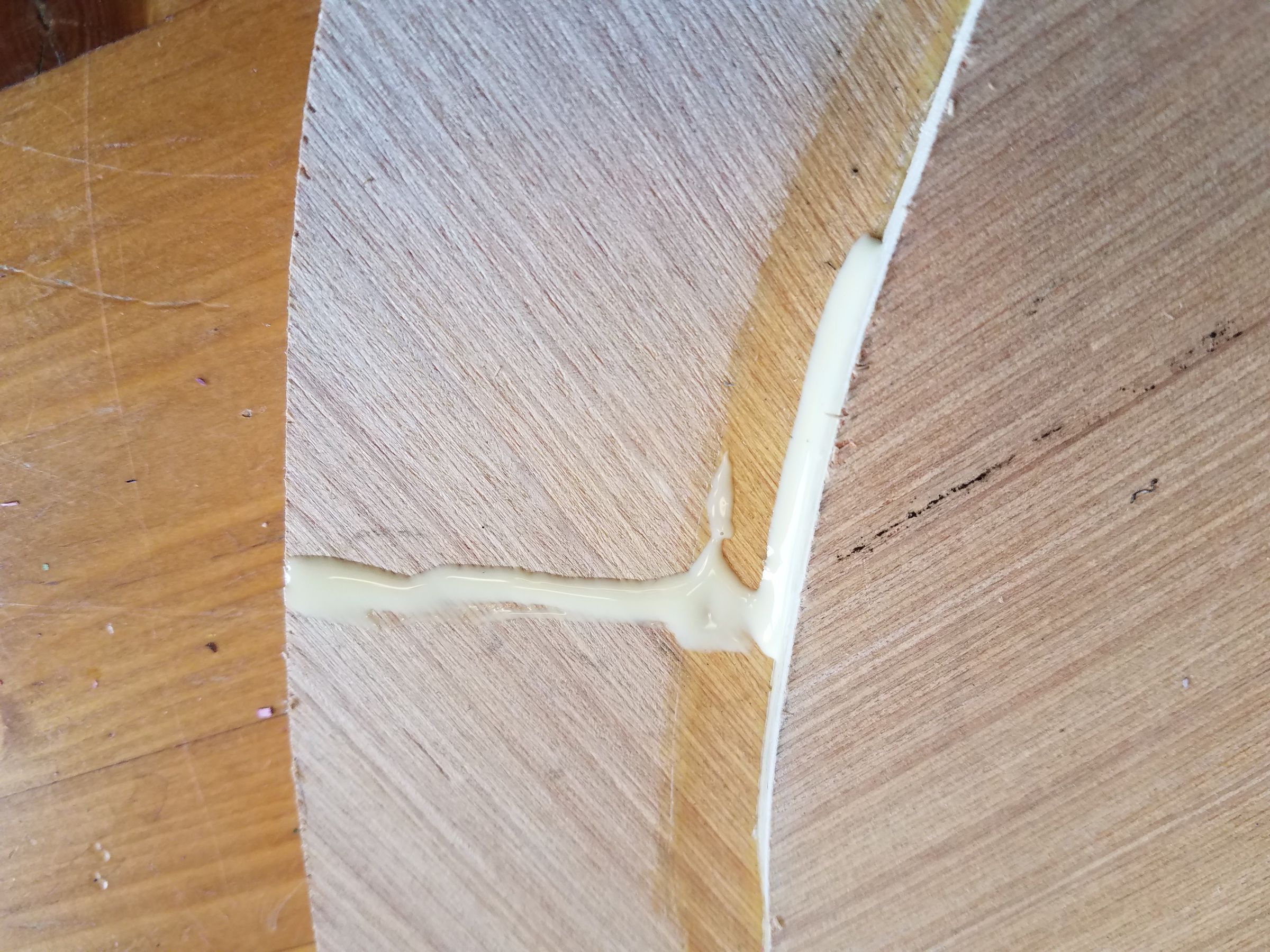 20180615_110410.jpg
