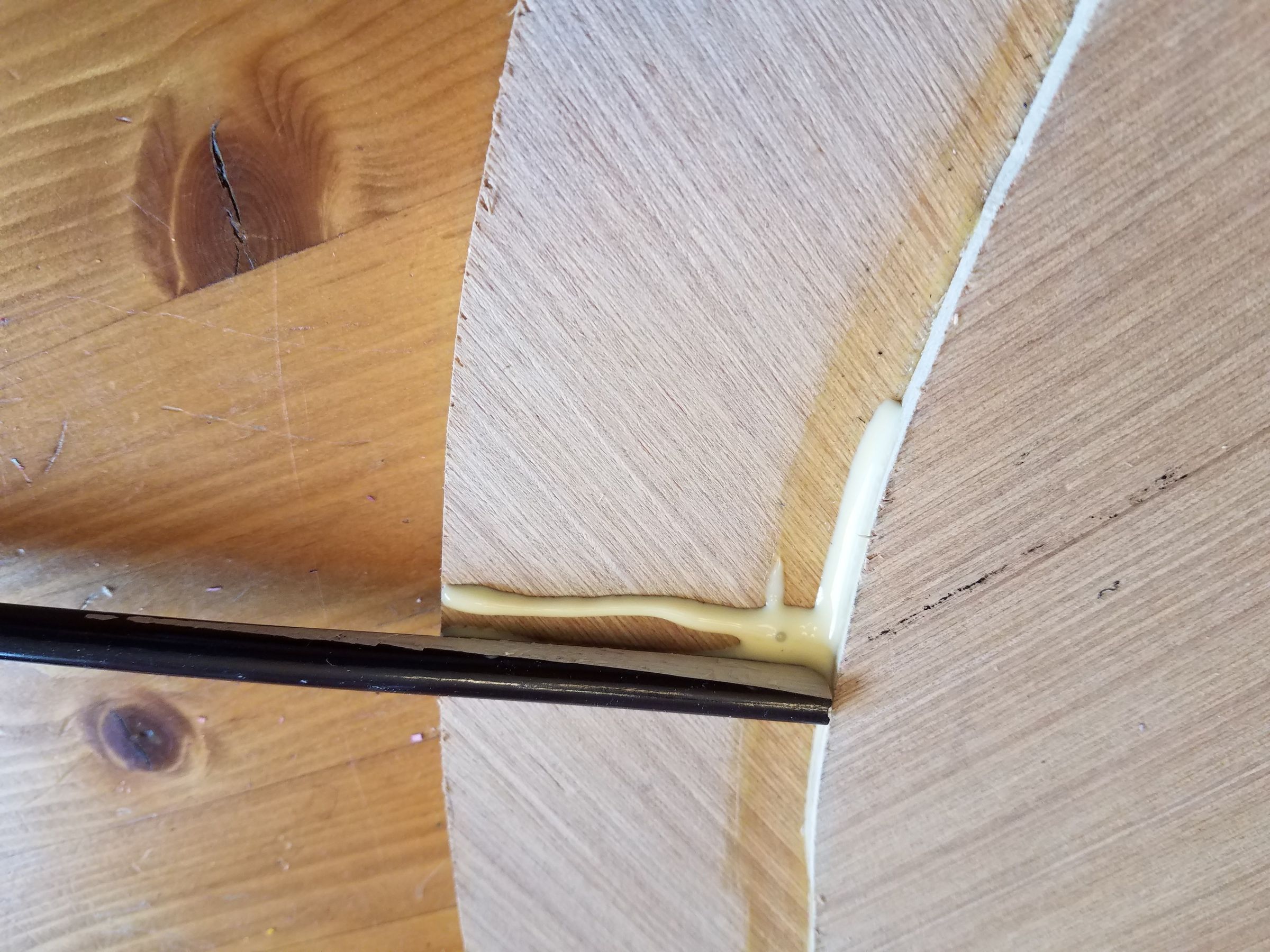 20180615_110446.jpg