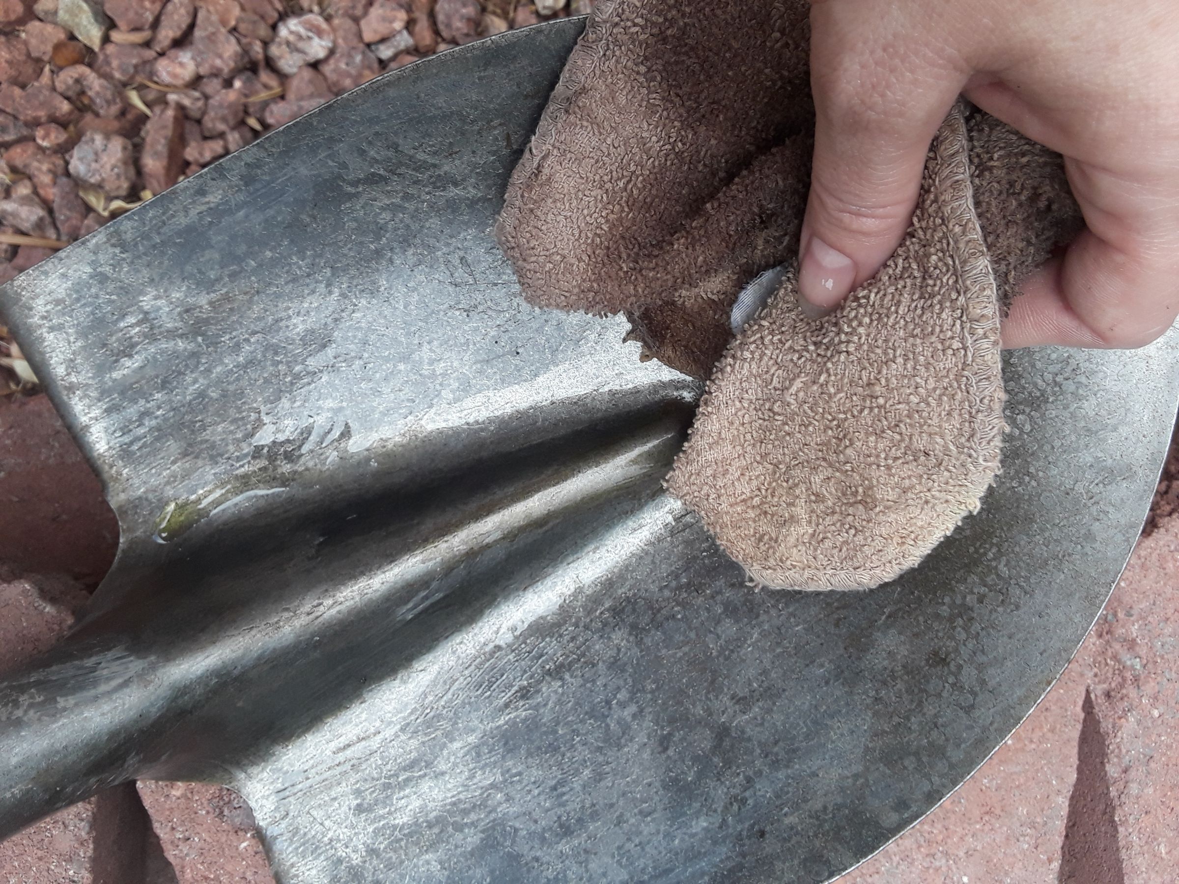 20180730_143345.jpg