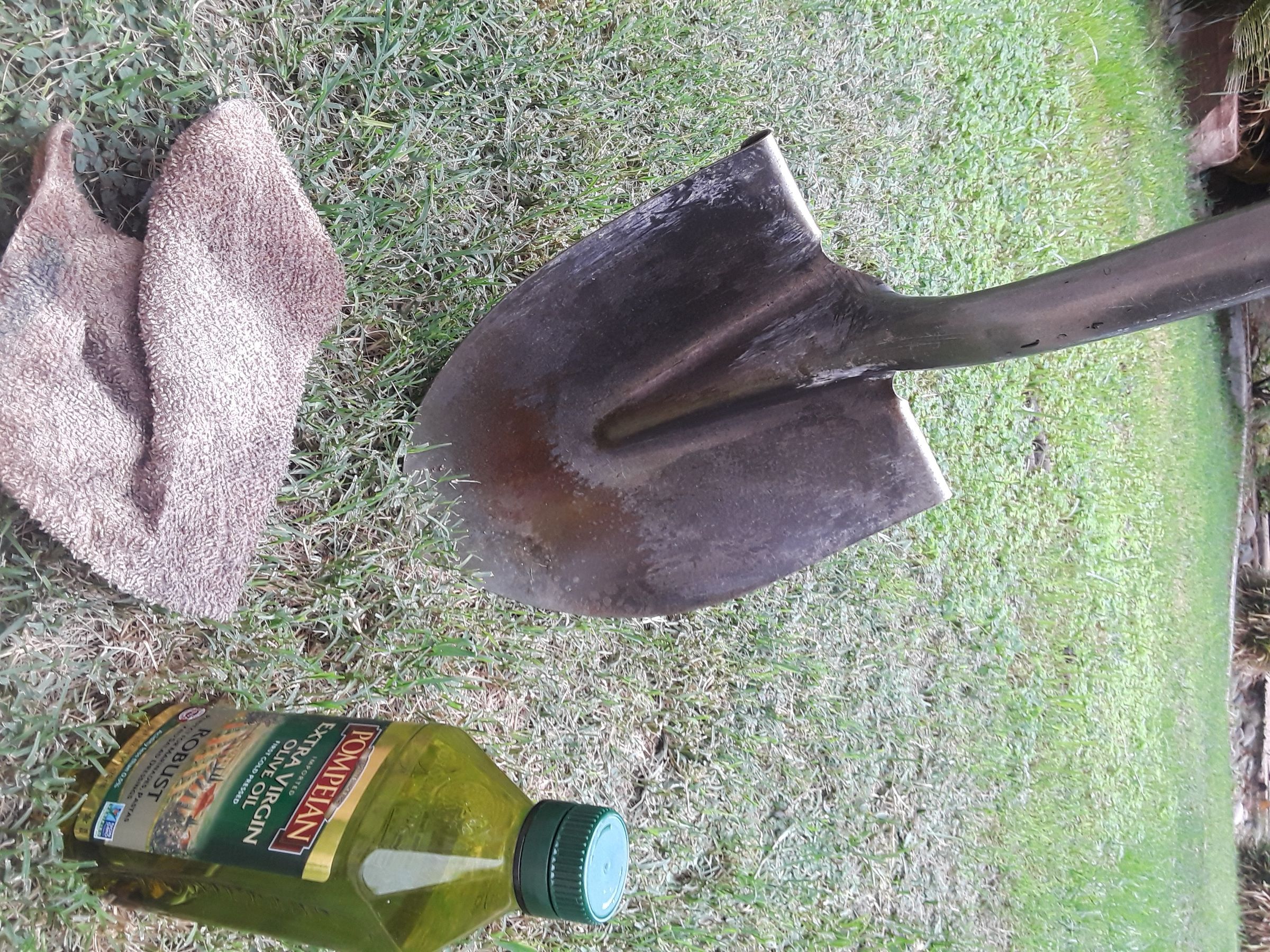 20180730_143532.jpg