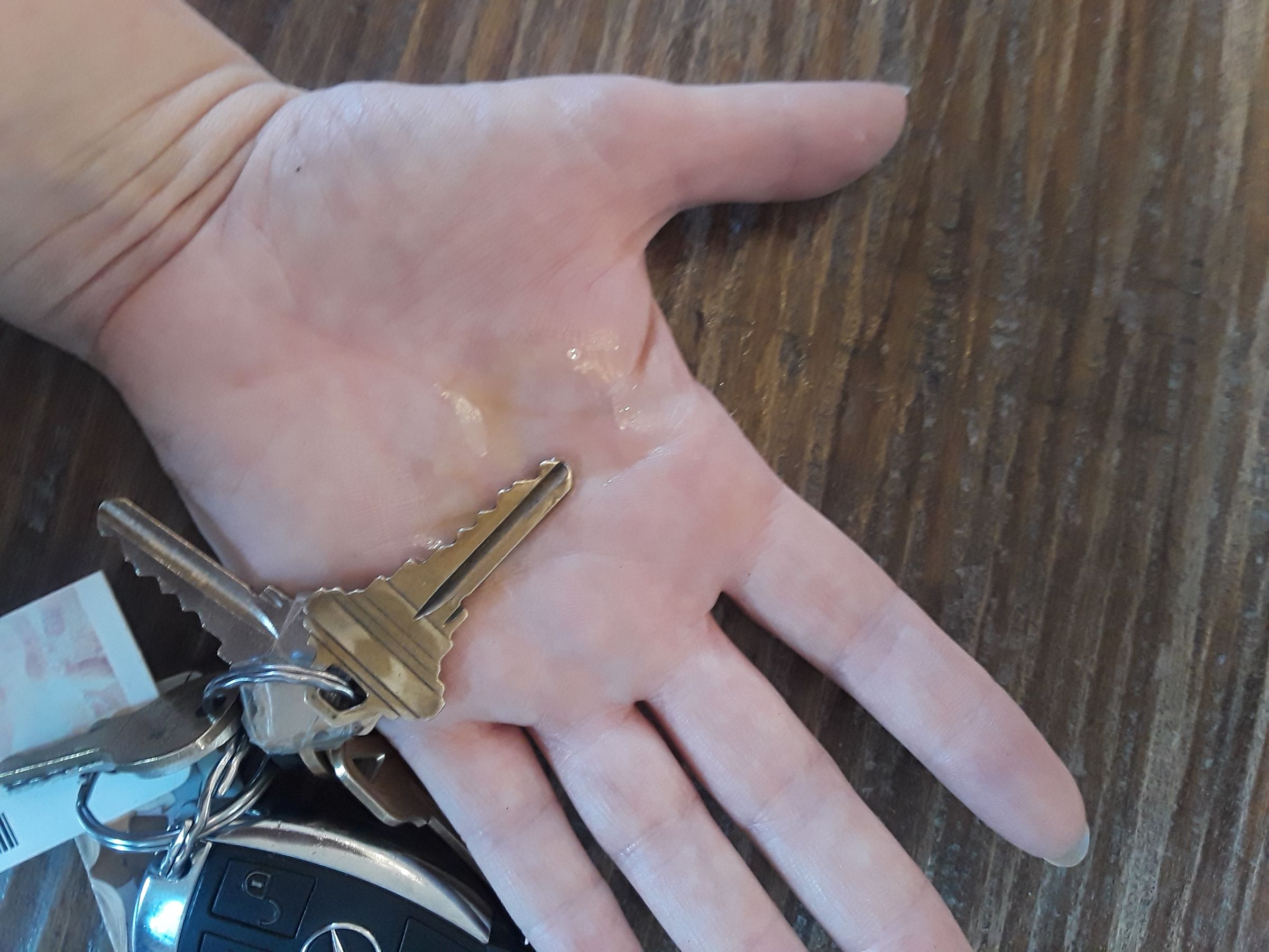 20180730_144047.jpg