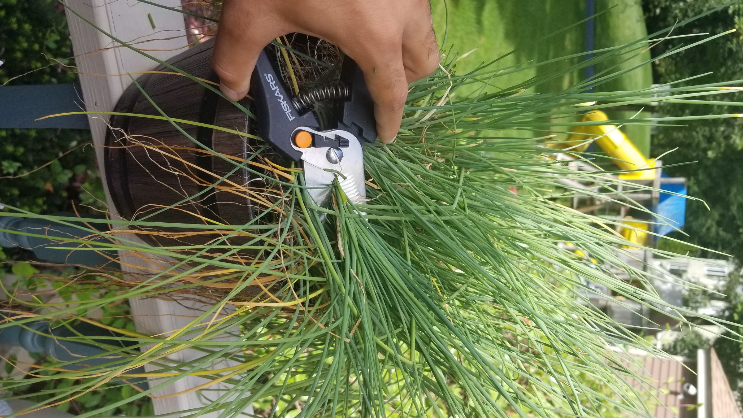 20180822_143526.jpg