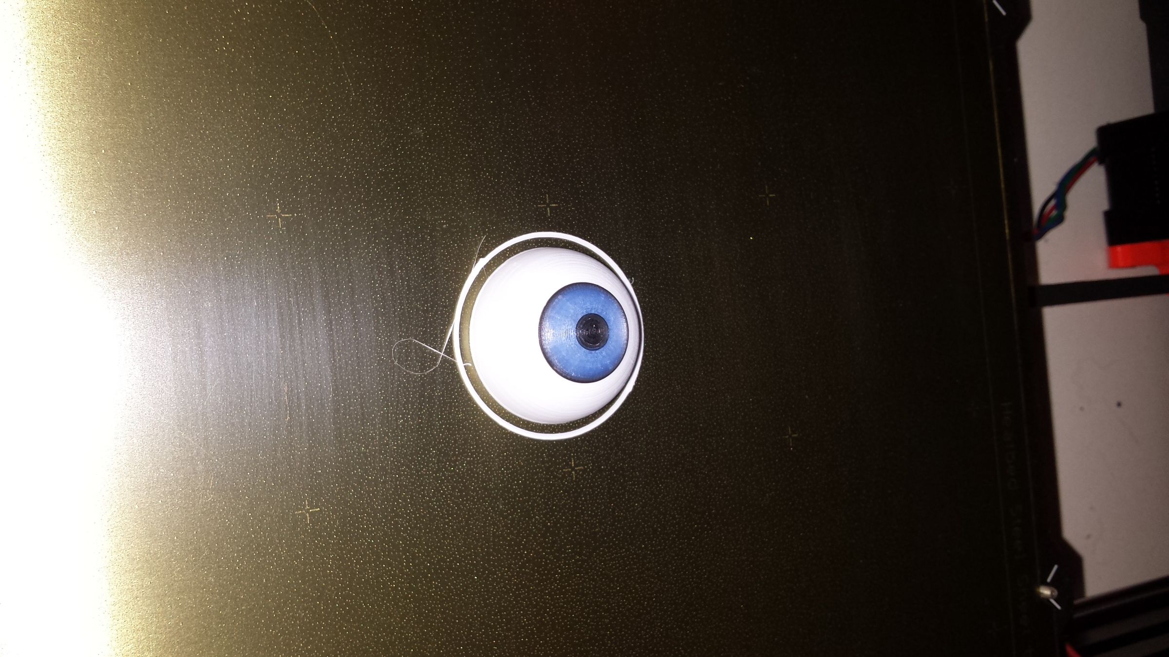 20180822_163406.jpg