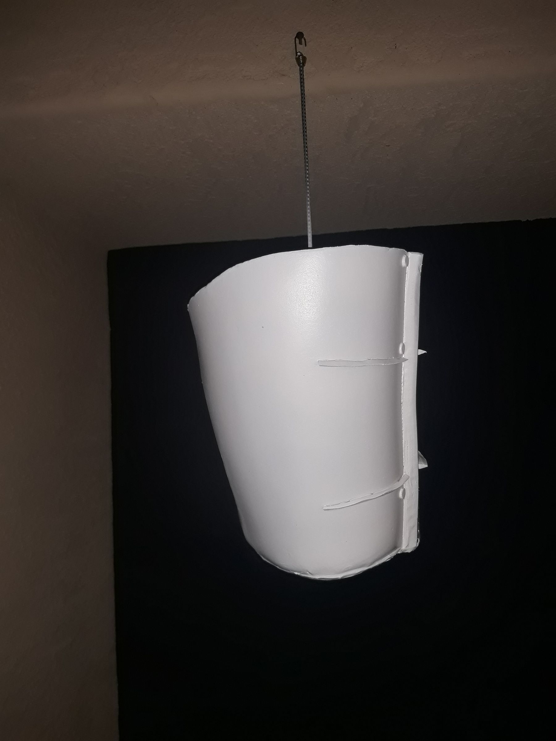 20181027_023303.jpg