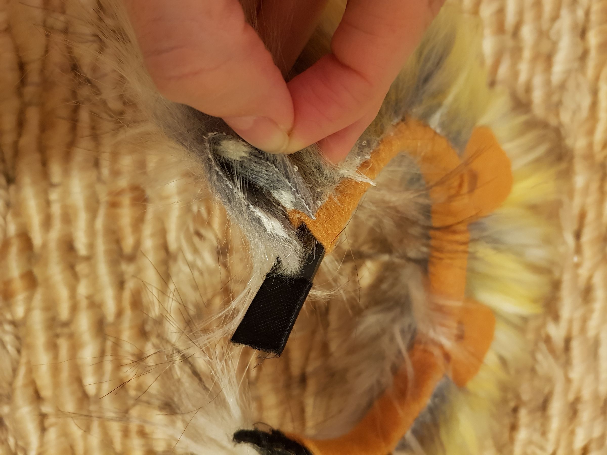 20181028_204034.jpg