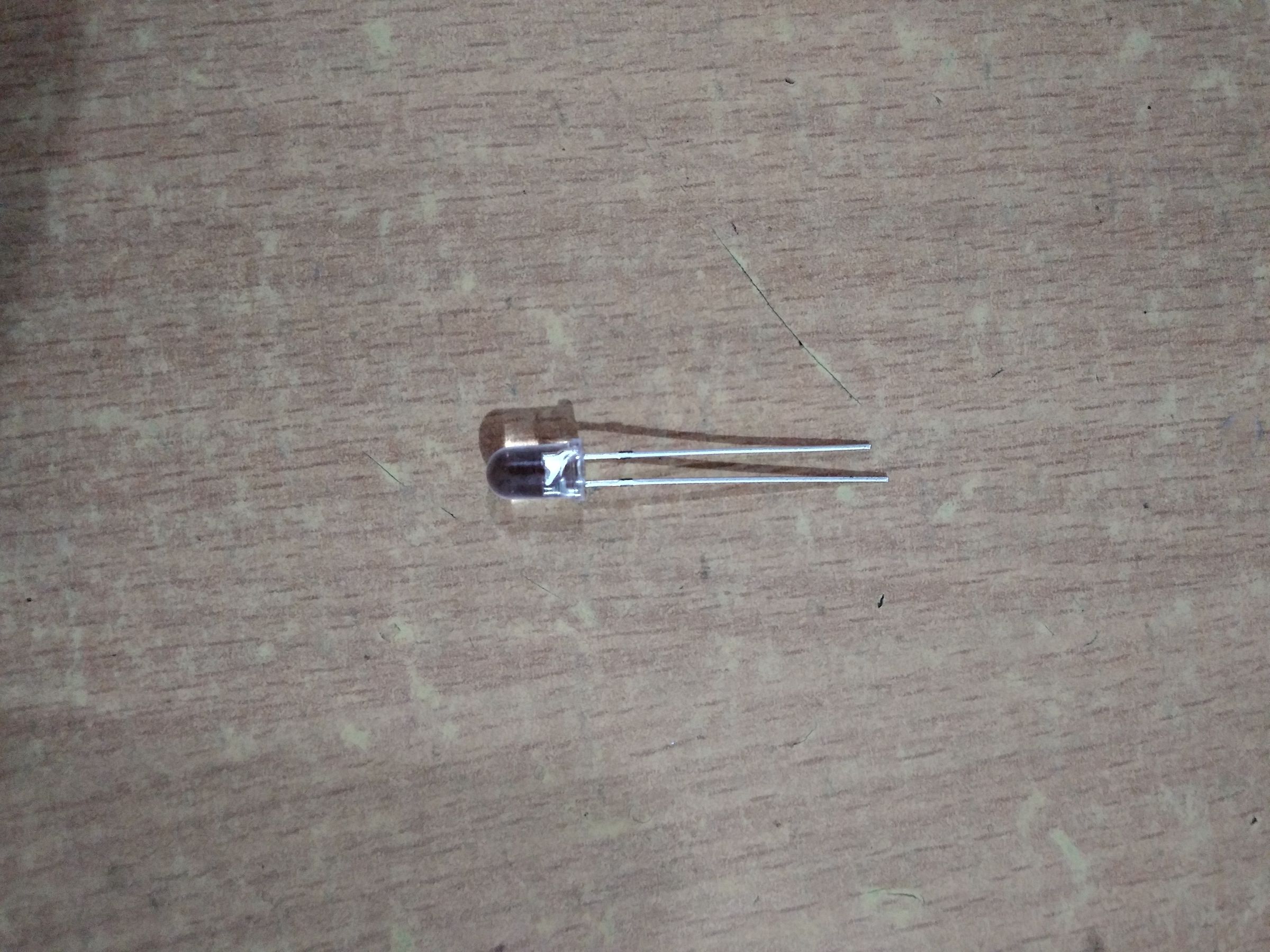 20181103_124029_HDR.jpg