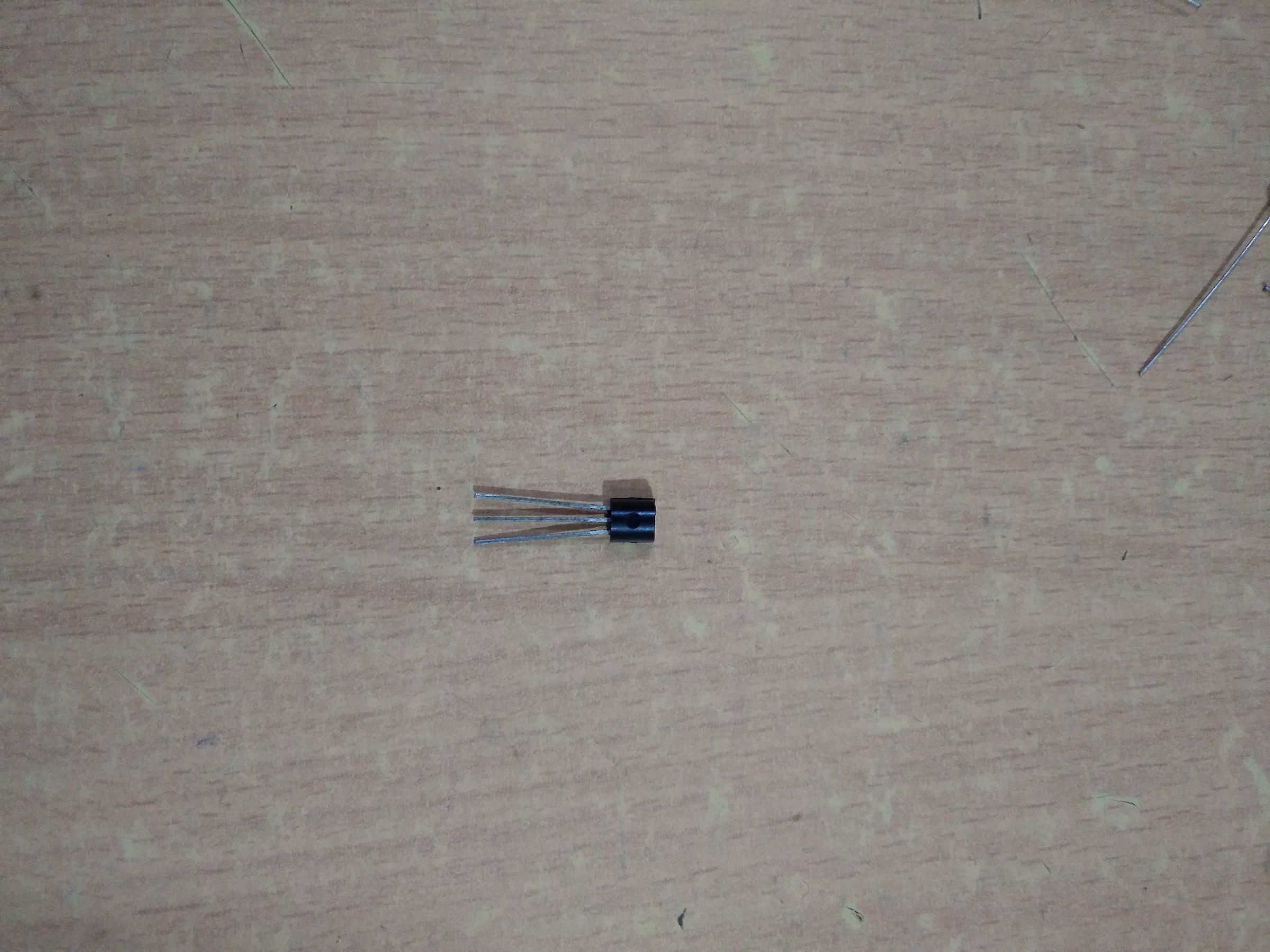 20181103_124553_HDR.jpg