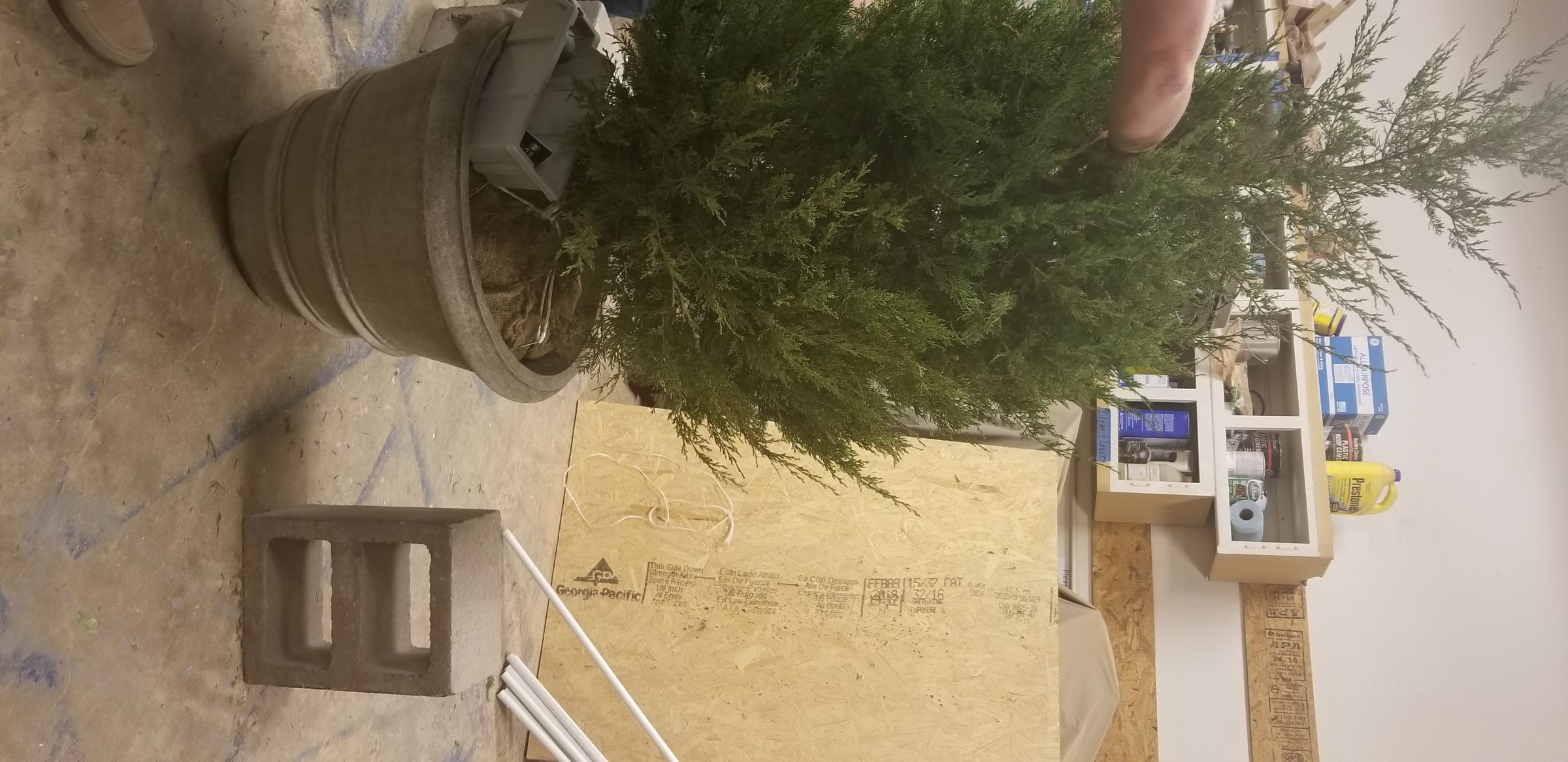 20181119_192212.jpg