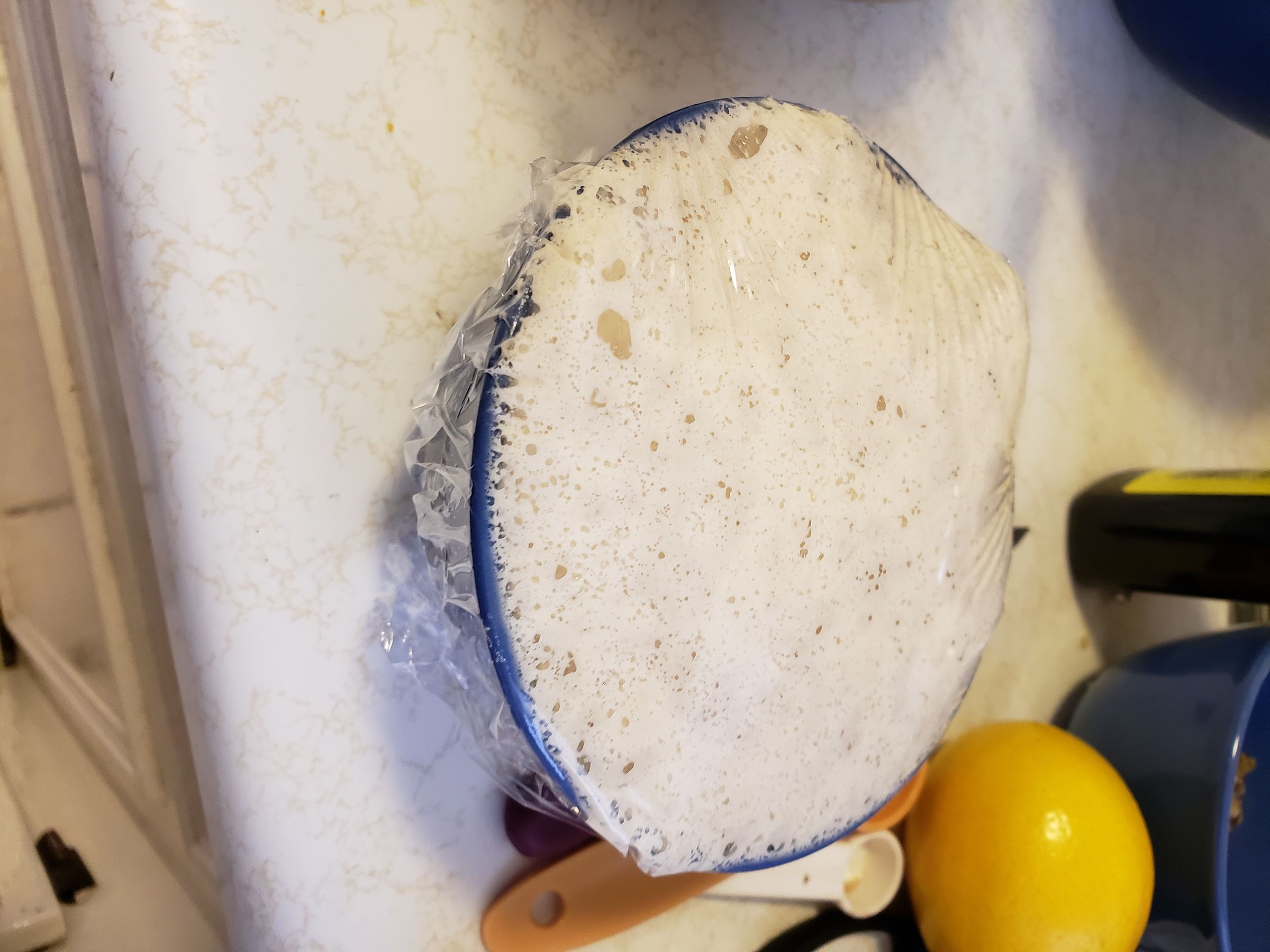 20181220_114235.jpg