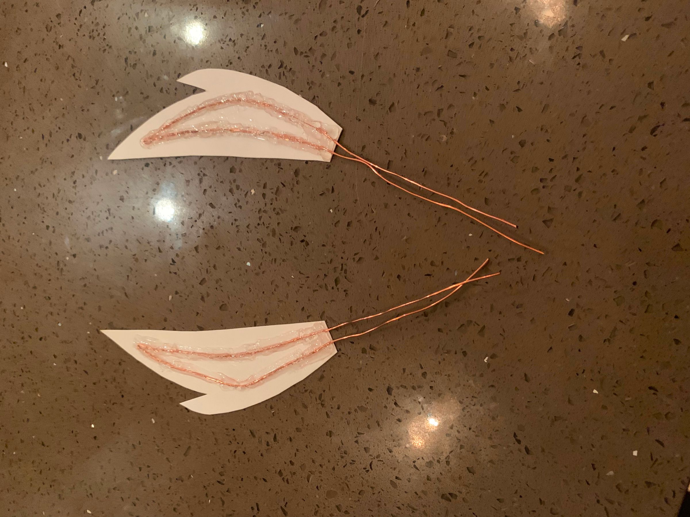 2019-02-09 009.JPG