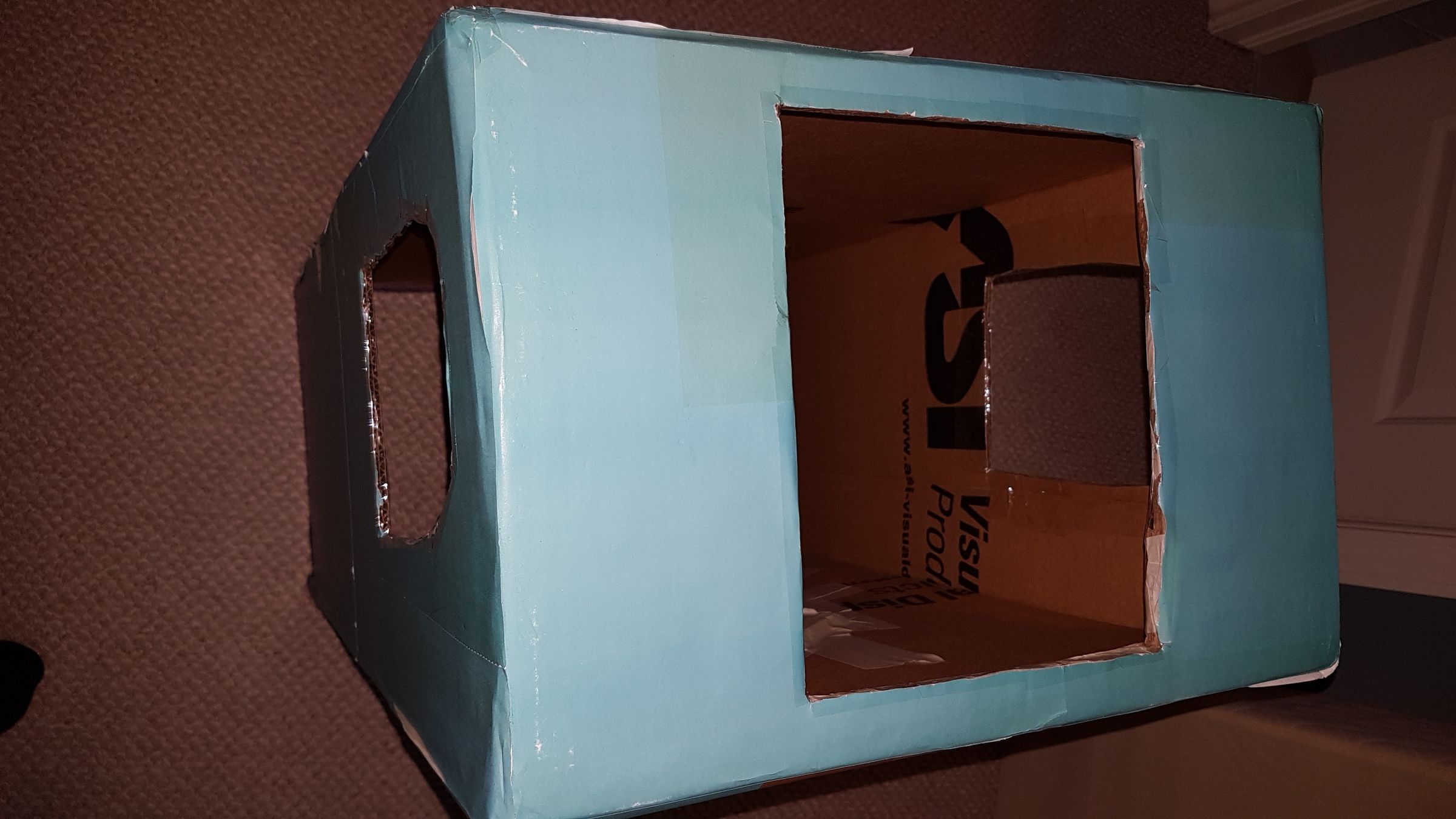 20190126_150356.jpg