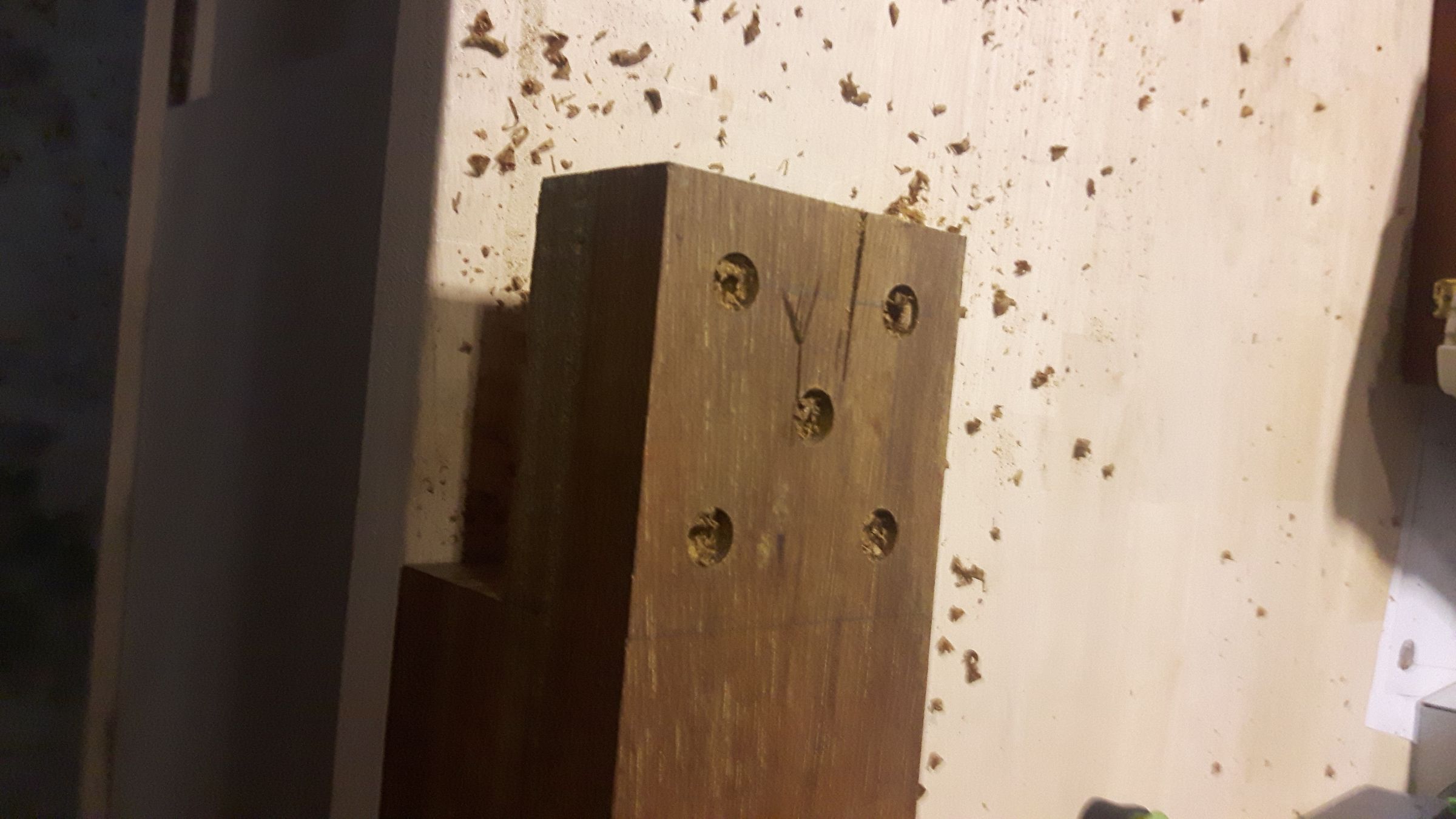 20190214_132131.jpg