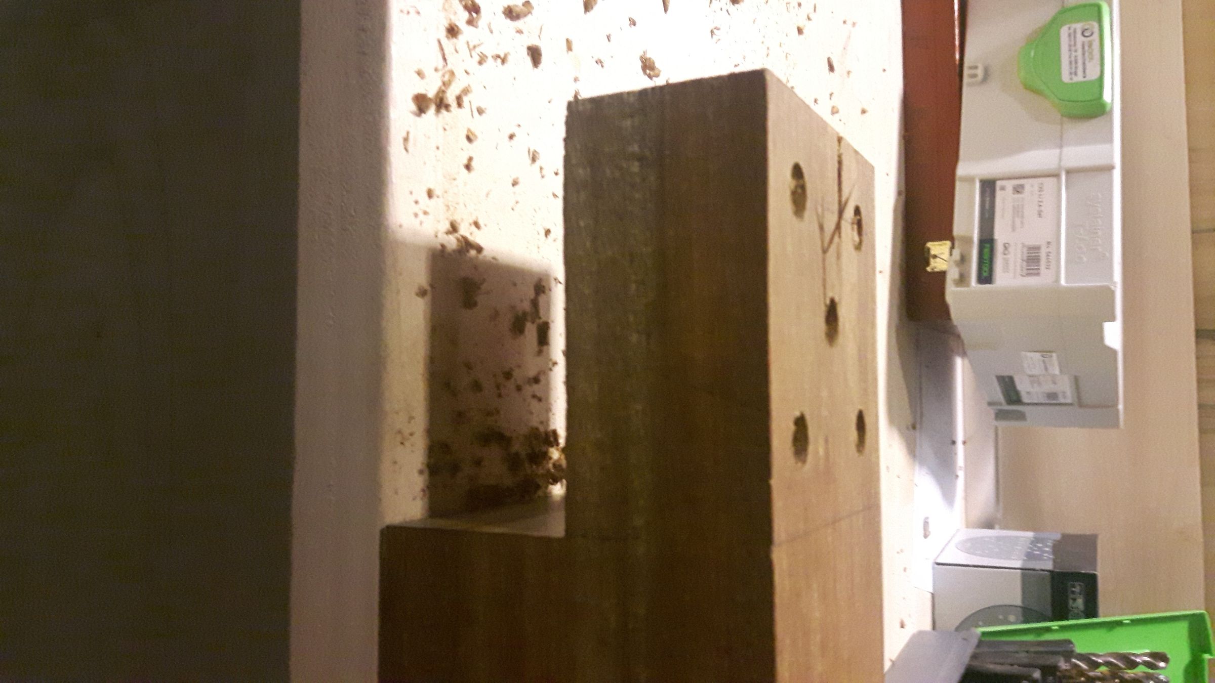 20190214_132136.jpg