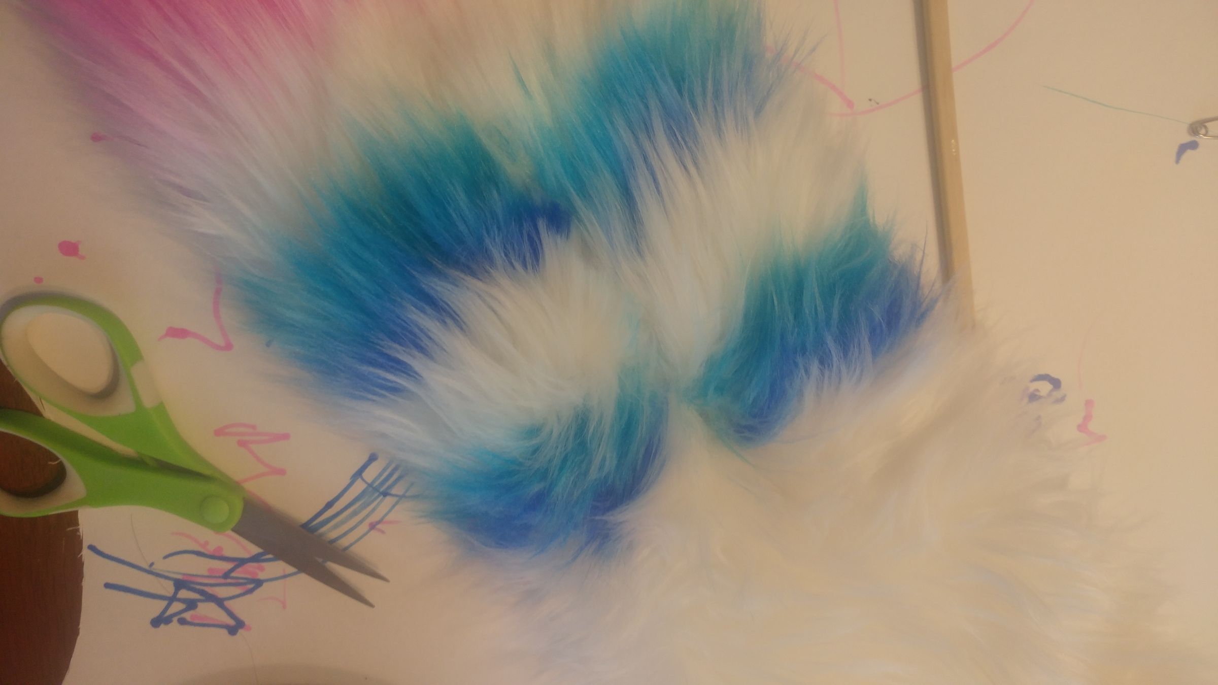 20190214_153250_HDR.jpg