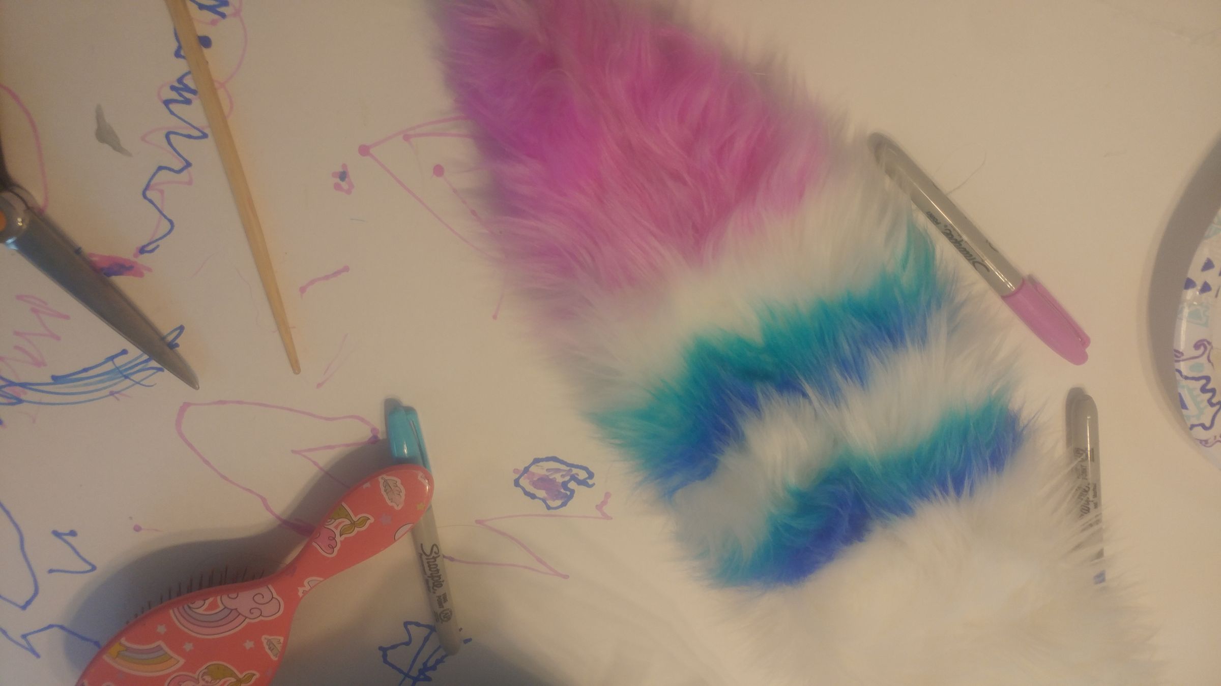 20190214_154228_HDR.jpg
