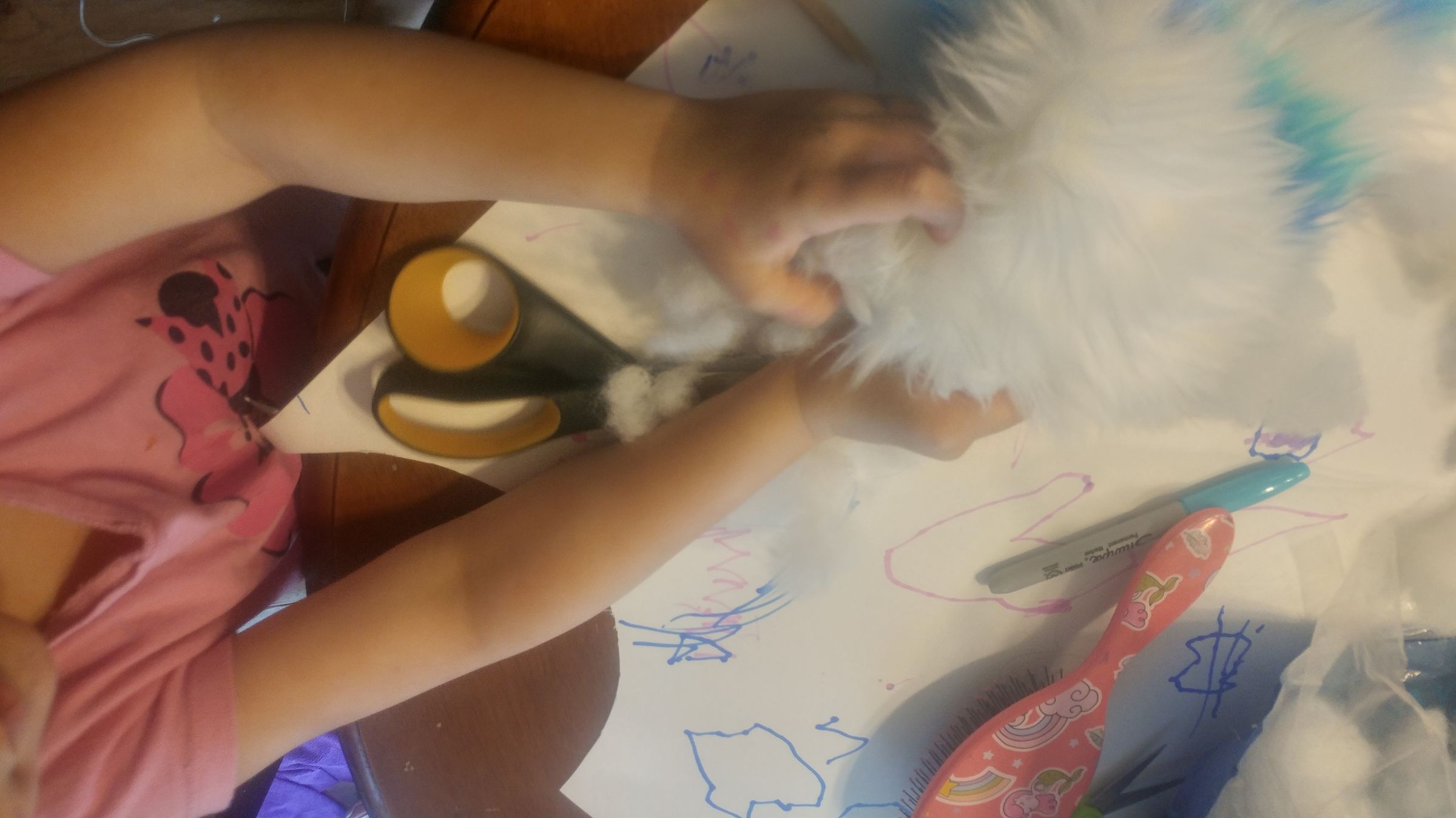 20190214_154330_HDR.jpg