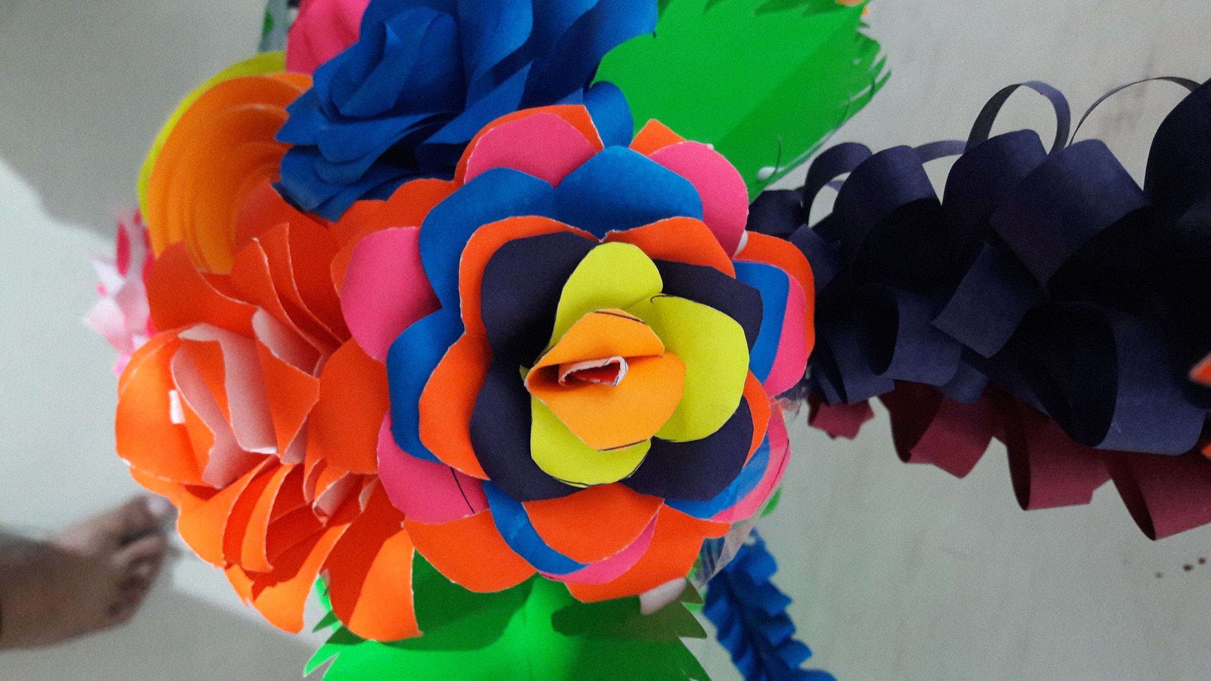 20190218_024327.jpg