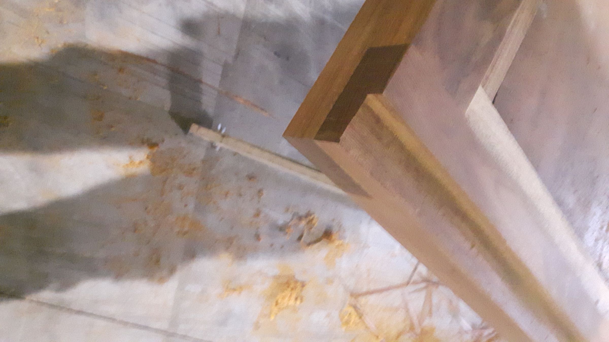 20190219_142046.jpg