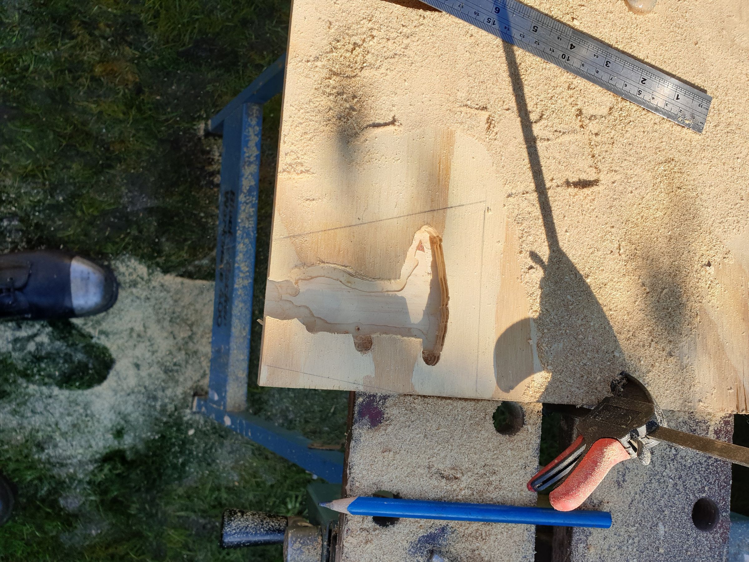 20190226_102027.jpg