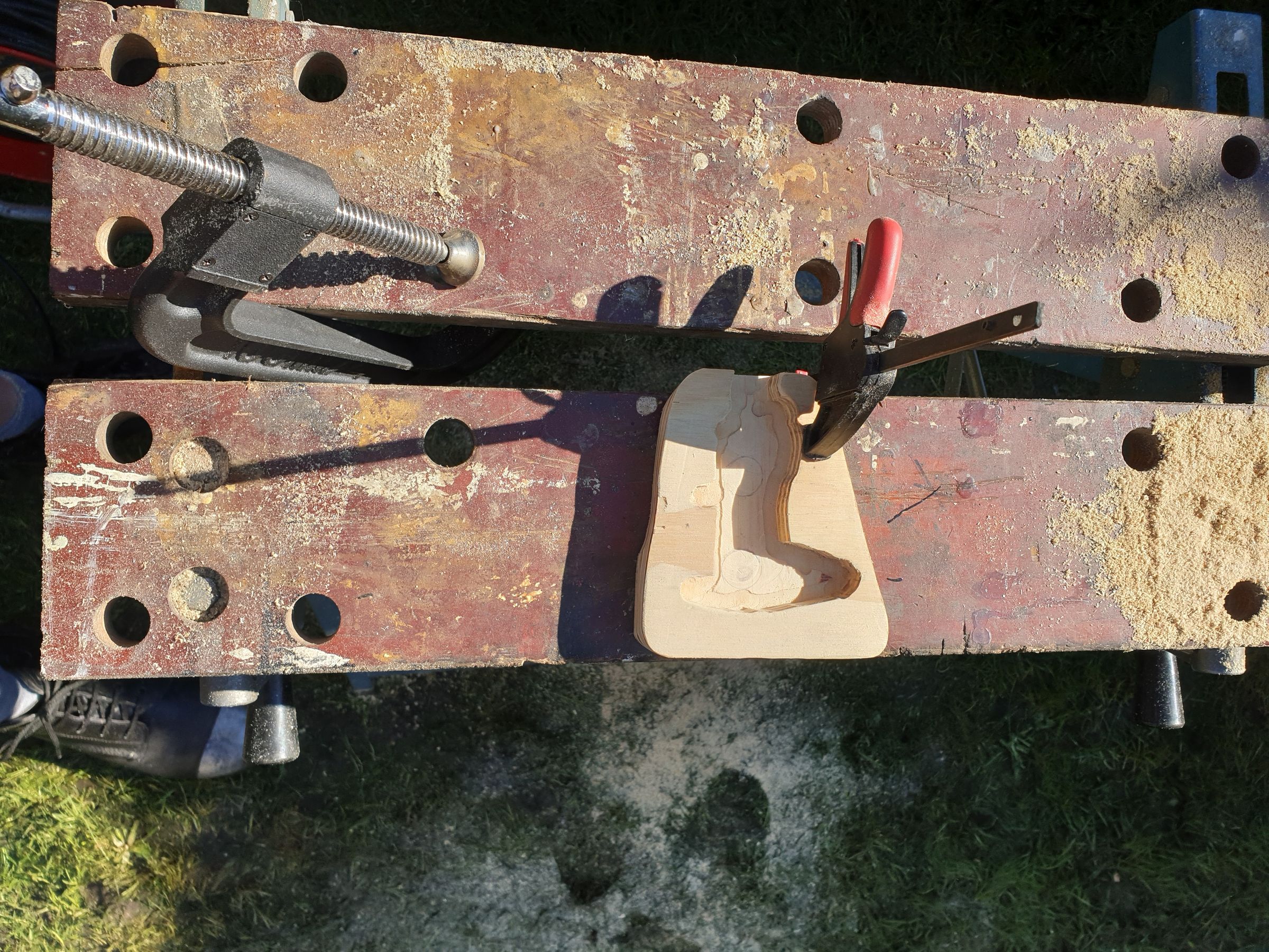 20190226_105010.jpg