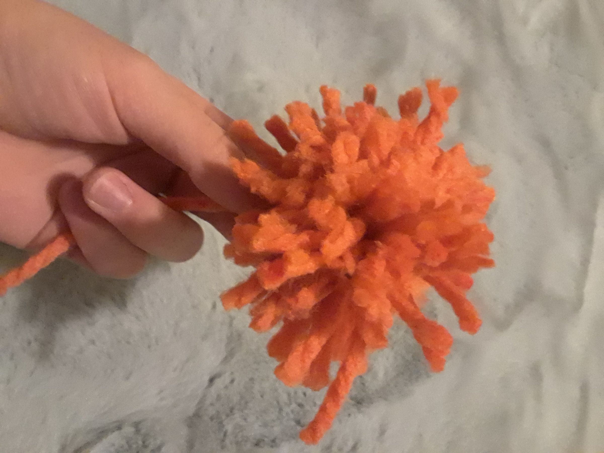 20190228_203035.jpg