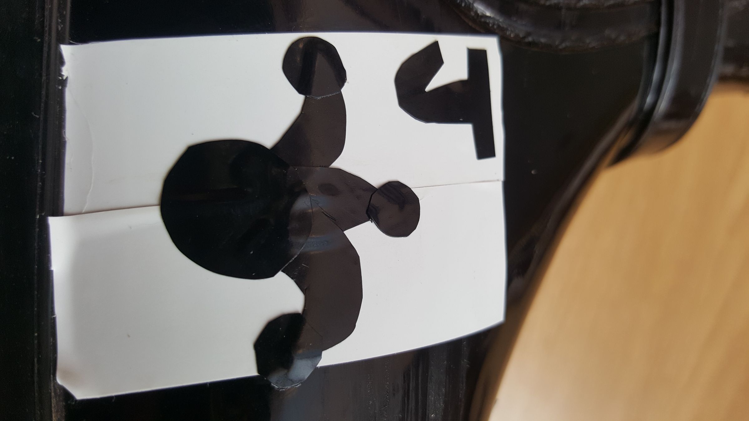 20190316_080501.jpg