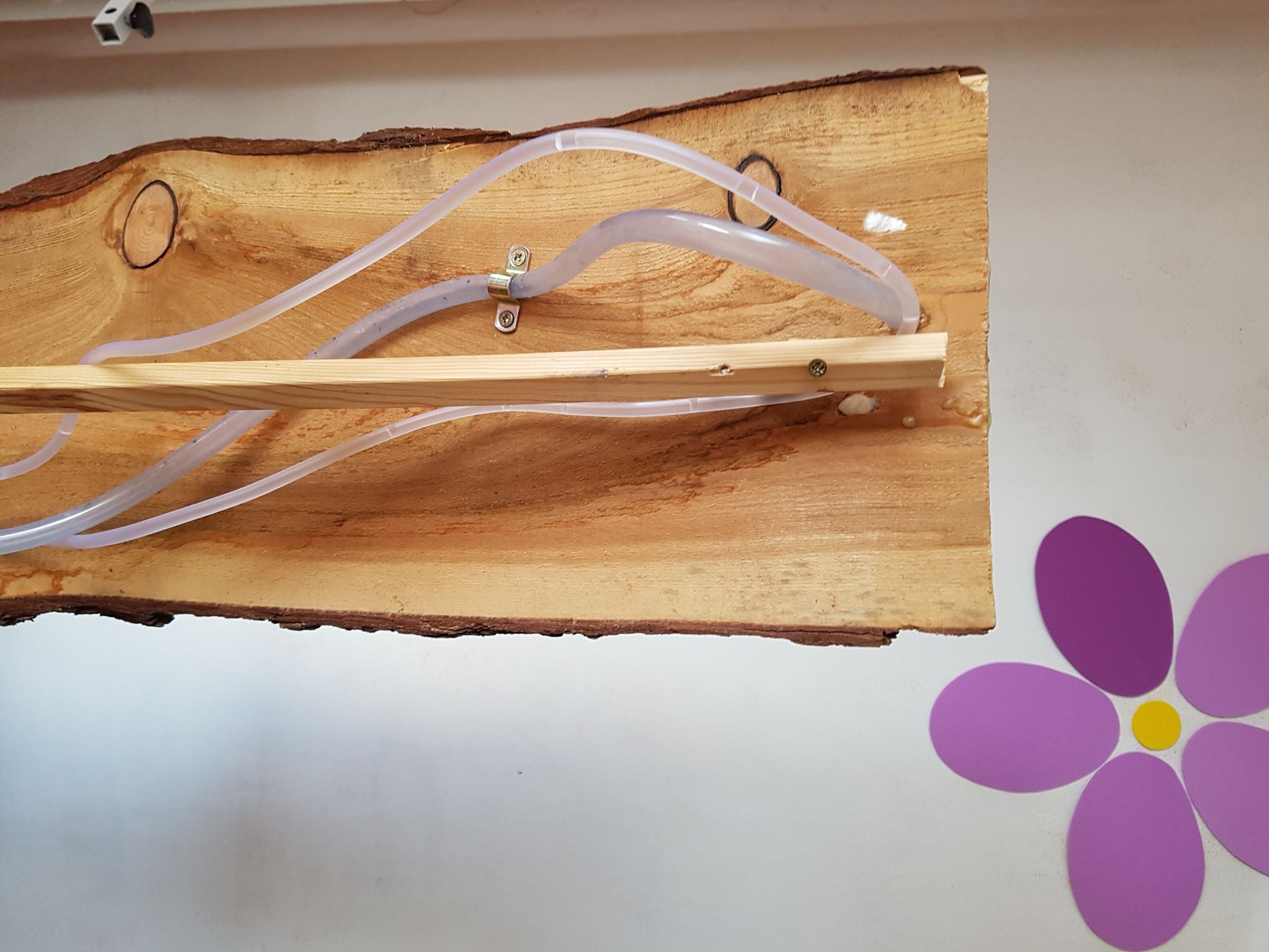 20190316_105142.jpg