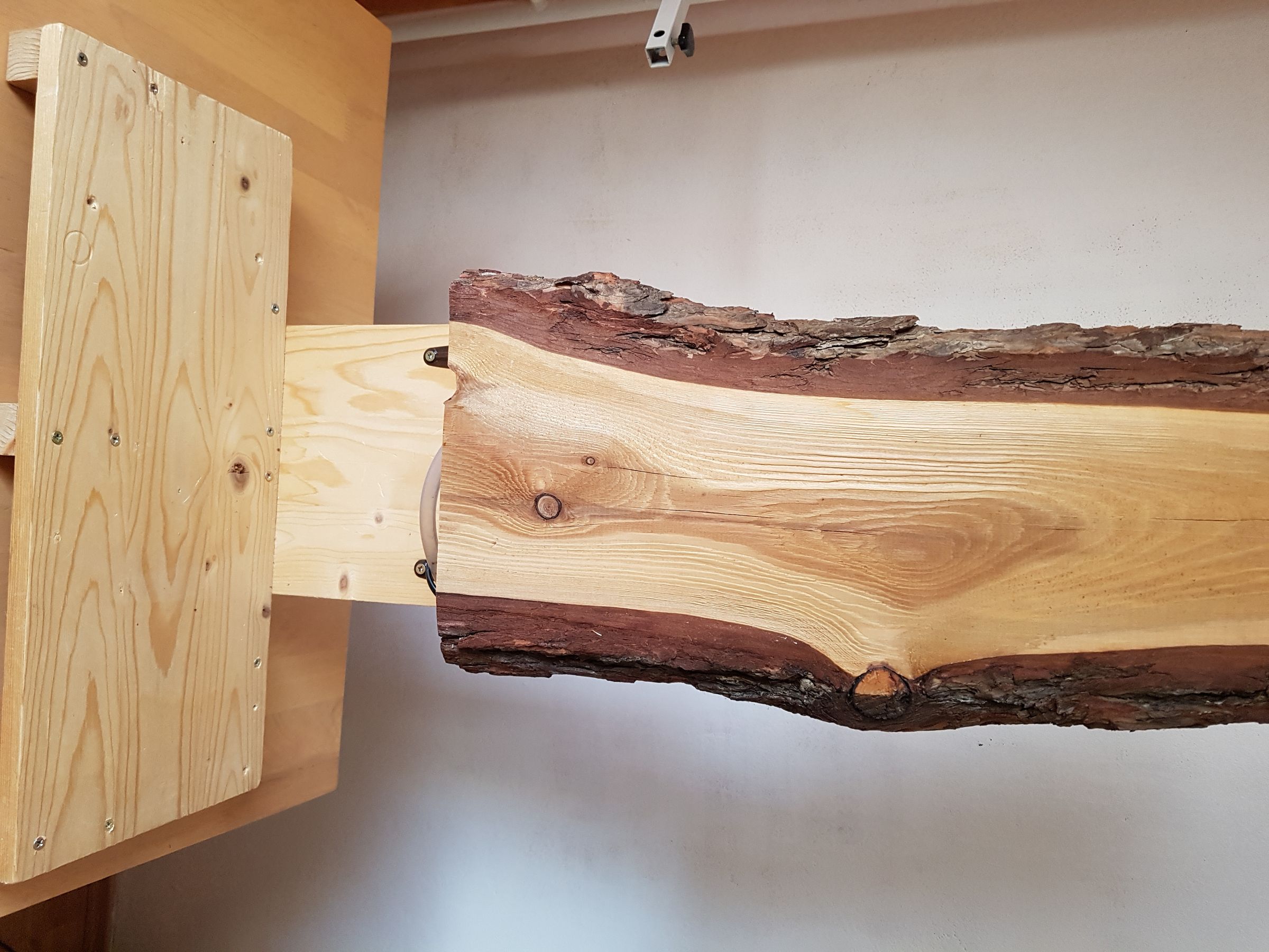 20190316_105203.jpg