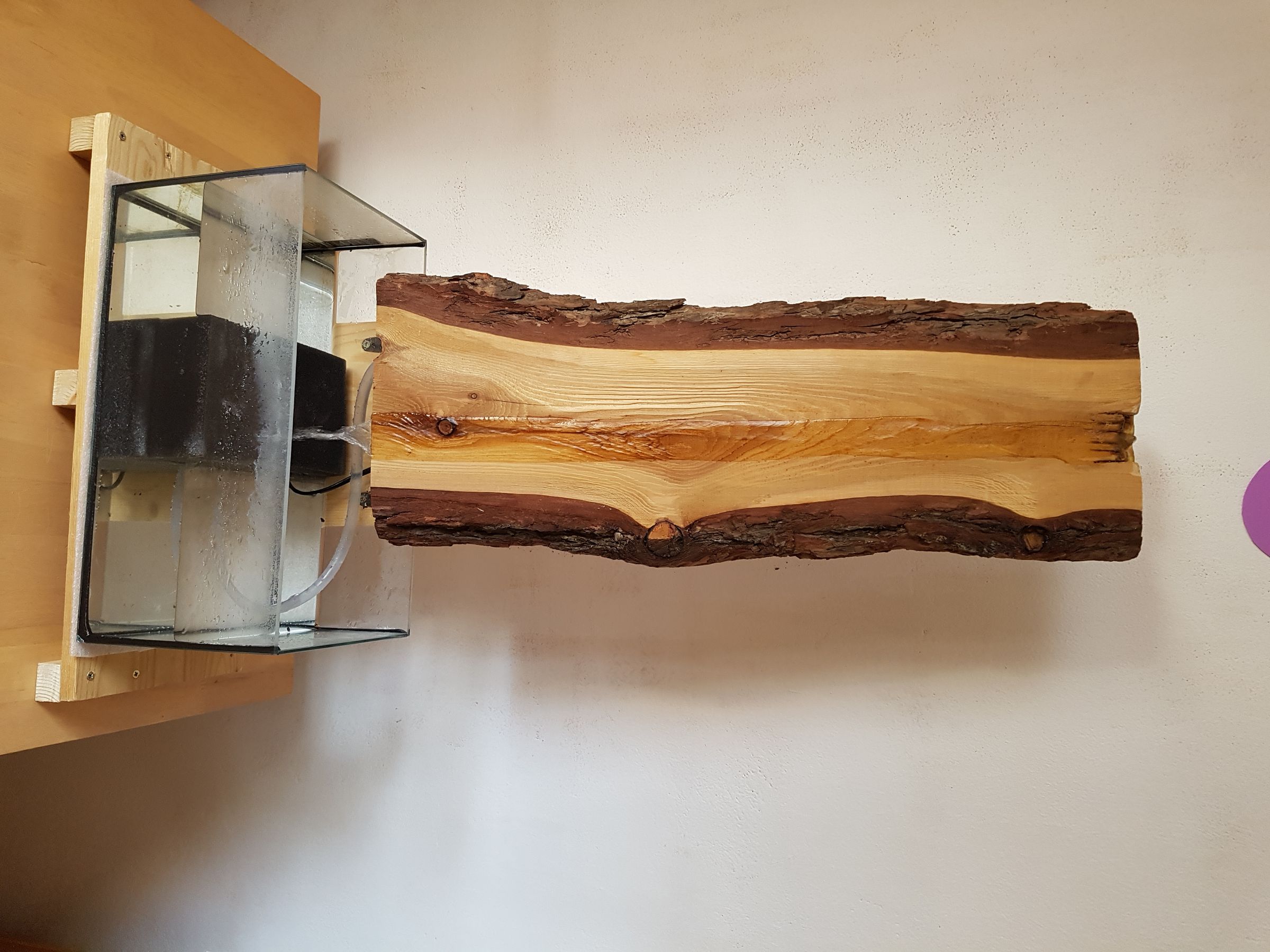 20190316_110241.jpg