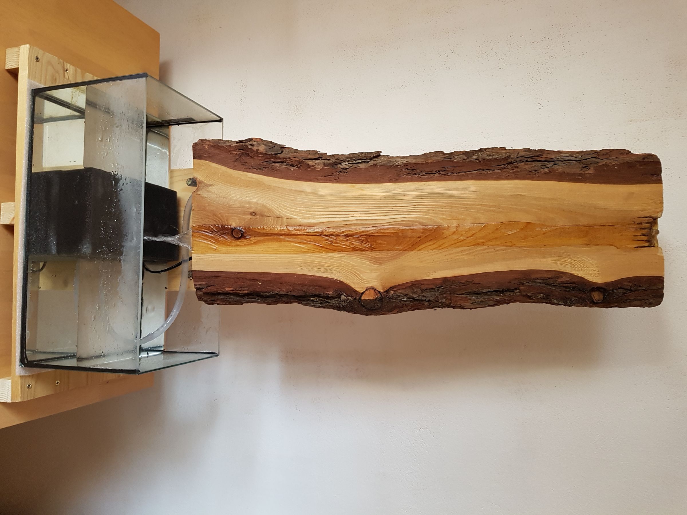 20190316_110243.jpg