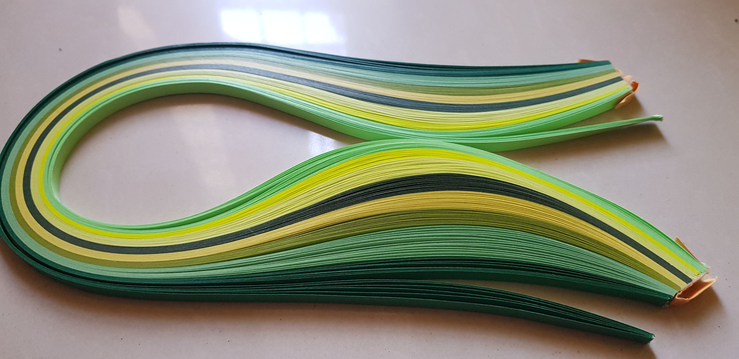 20190419_152418.jpg