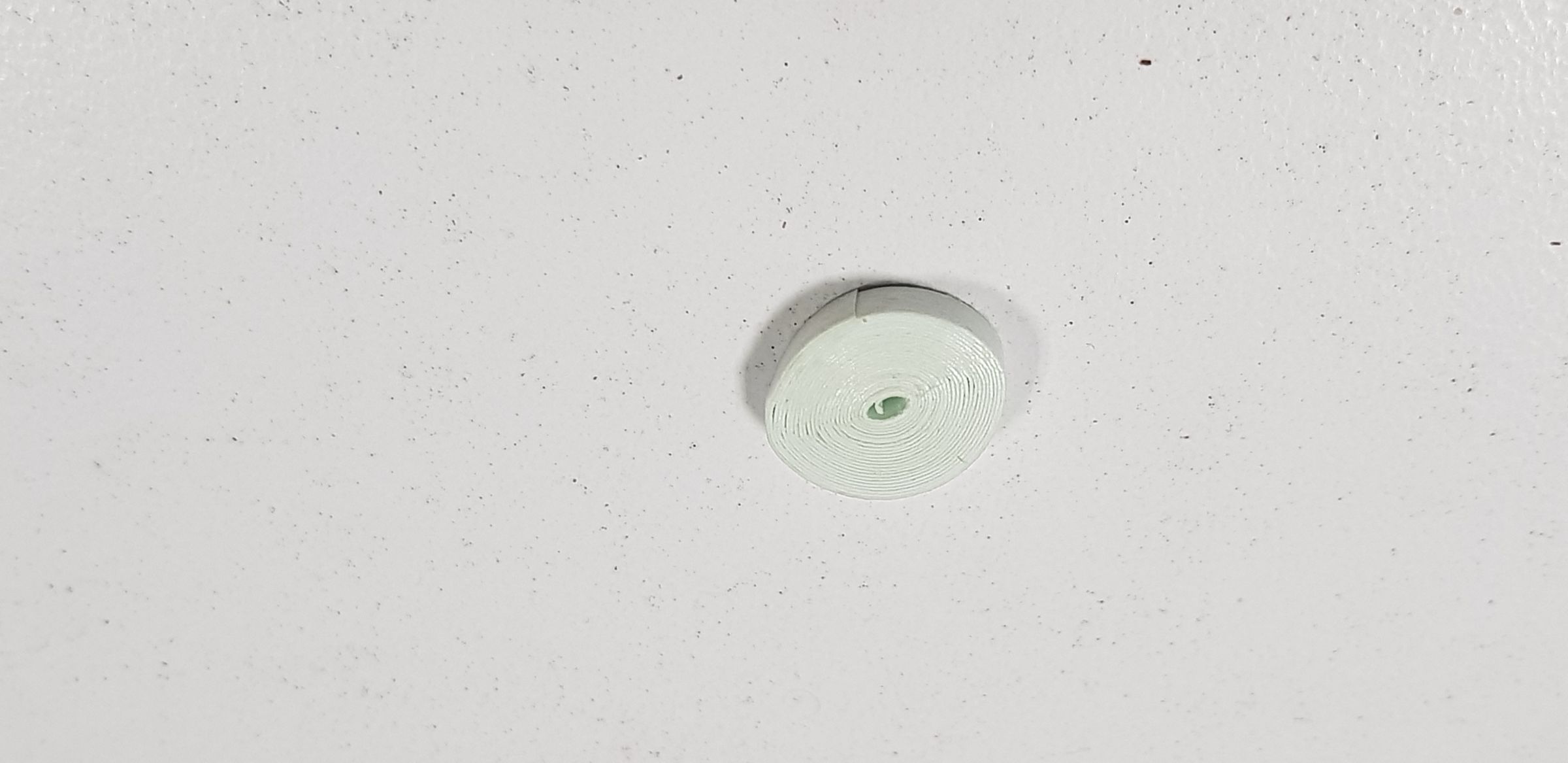 20190424_154625.jpg