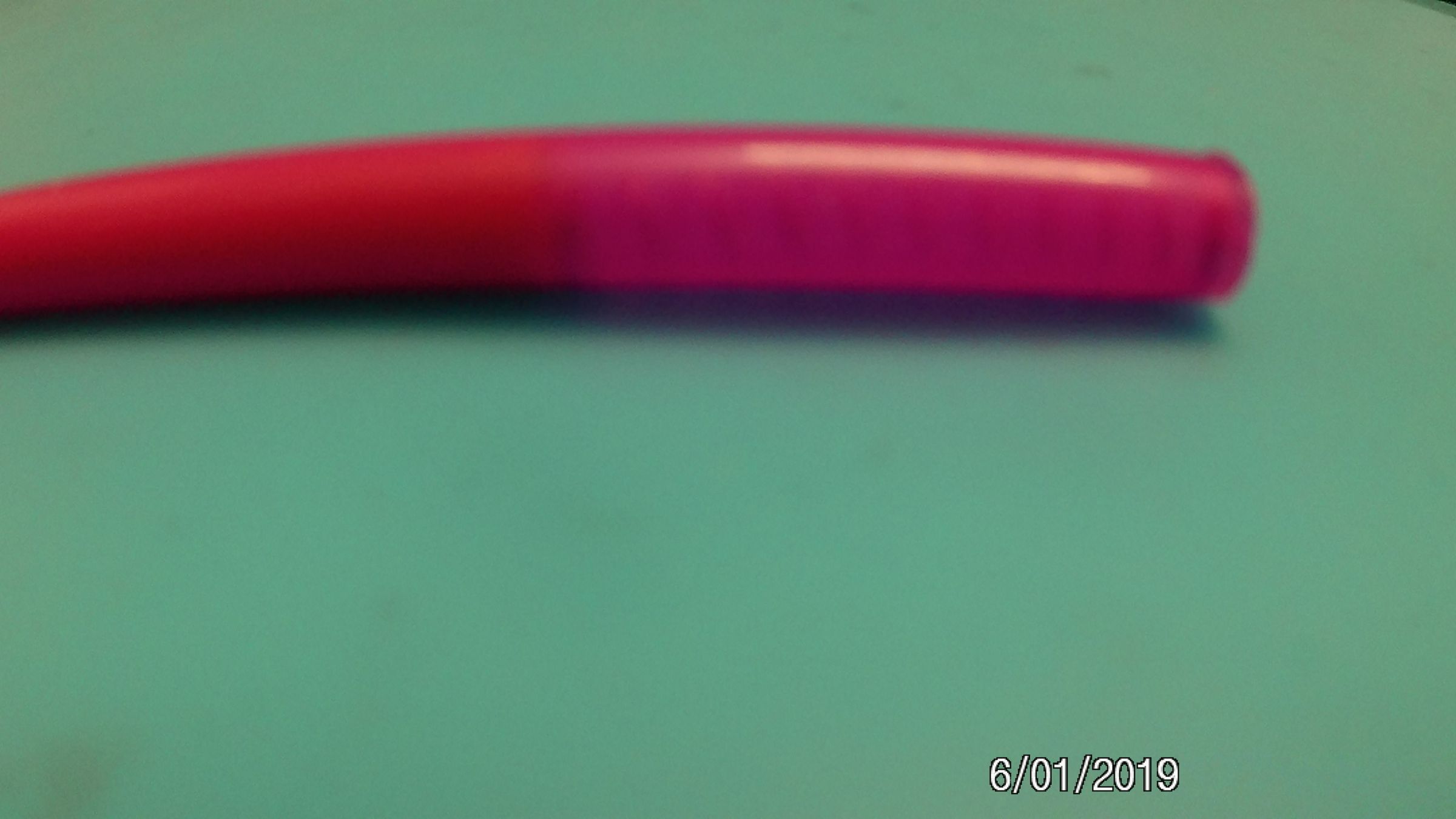 20190601_050247.JPG