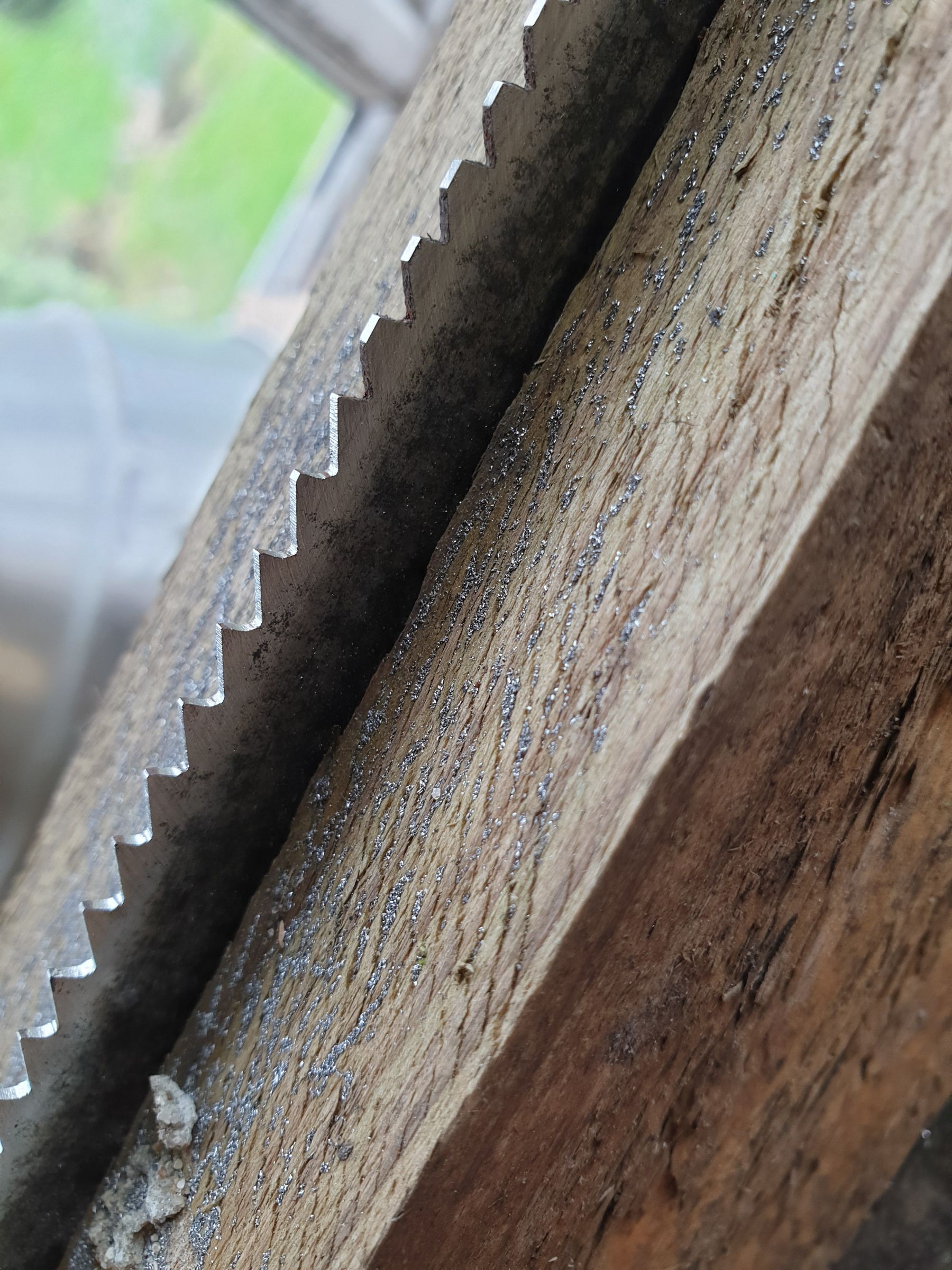 20190623_134605.jpg