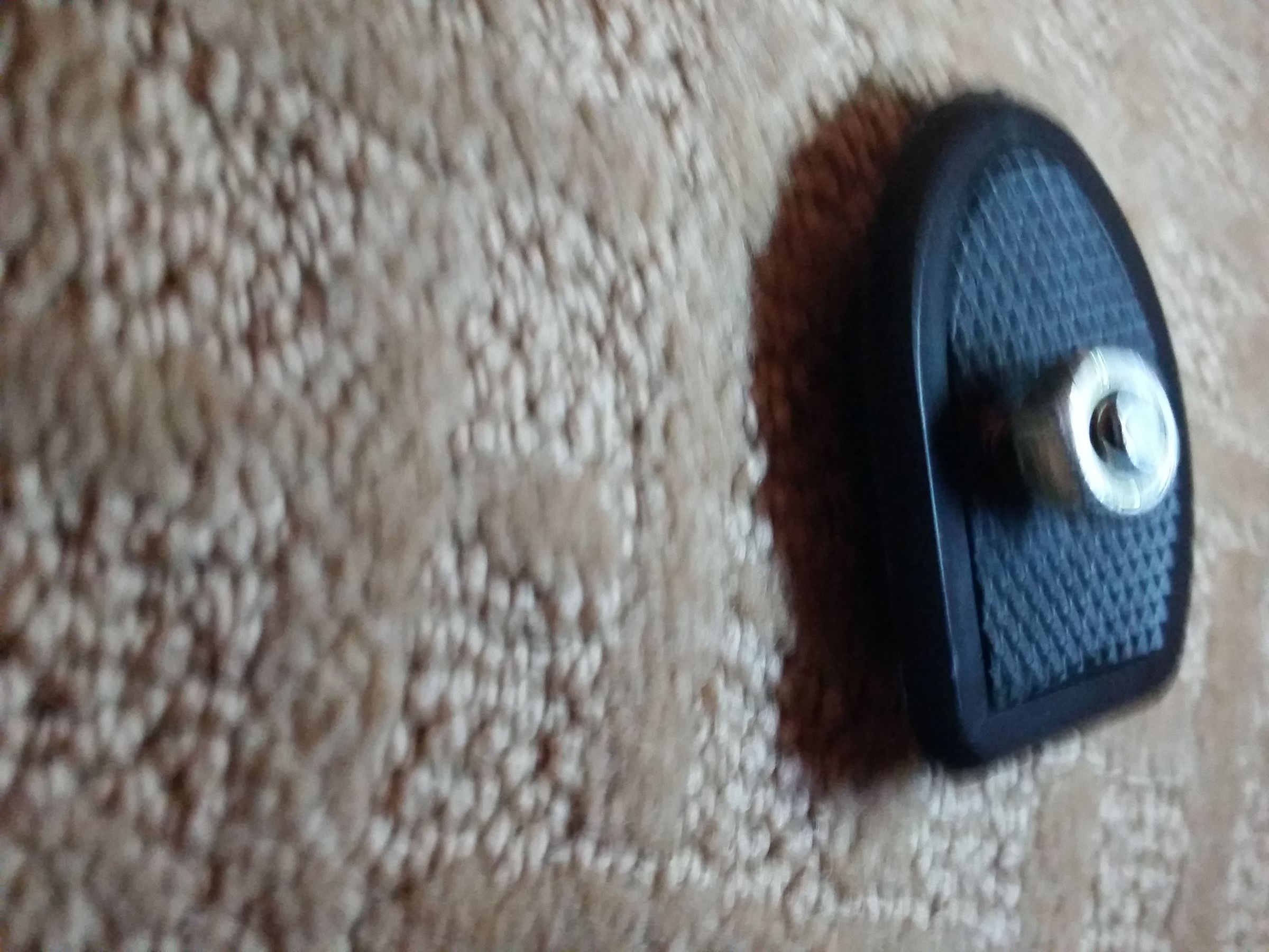 20190623_135249.jpg