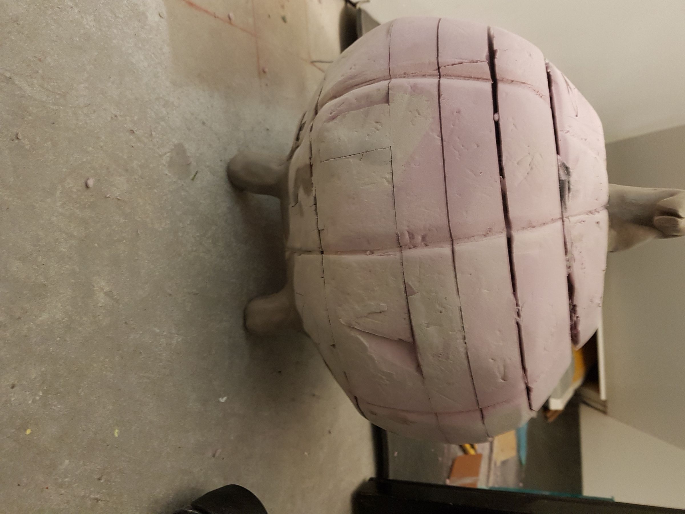 20190624_114055.jpg