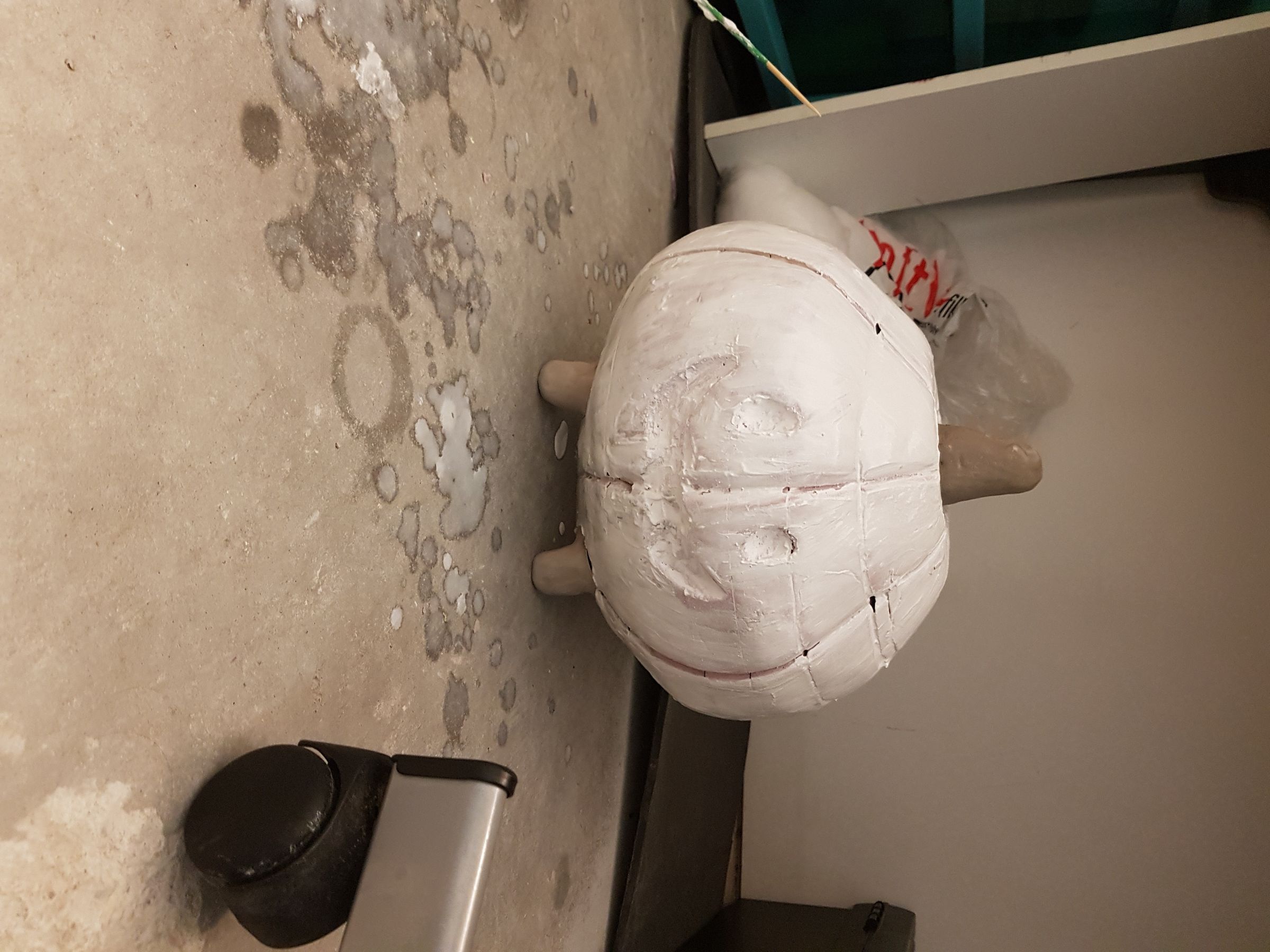 20190625_152218.jpg