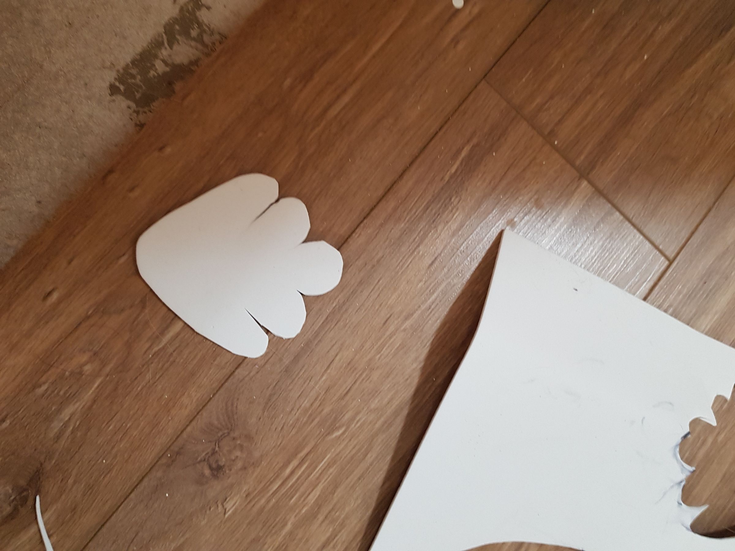 20190626_183534.jpg