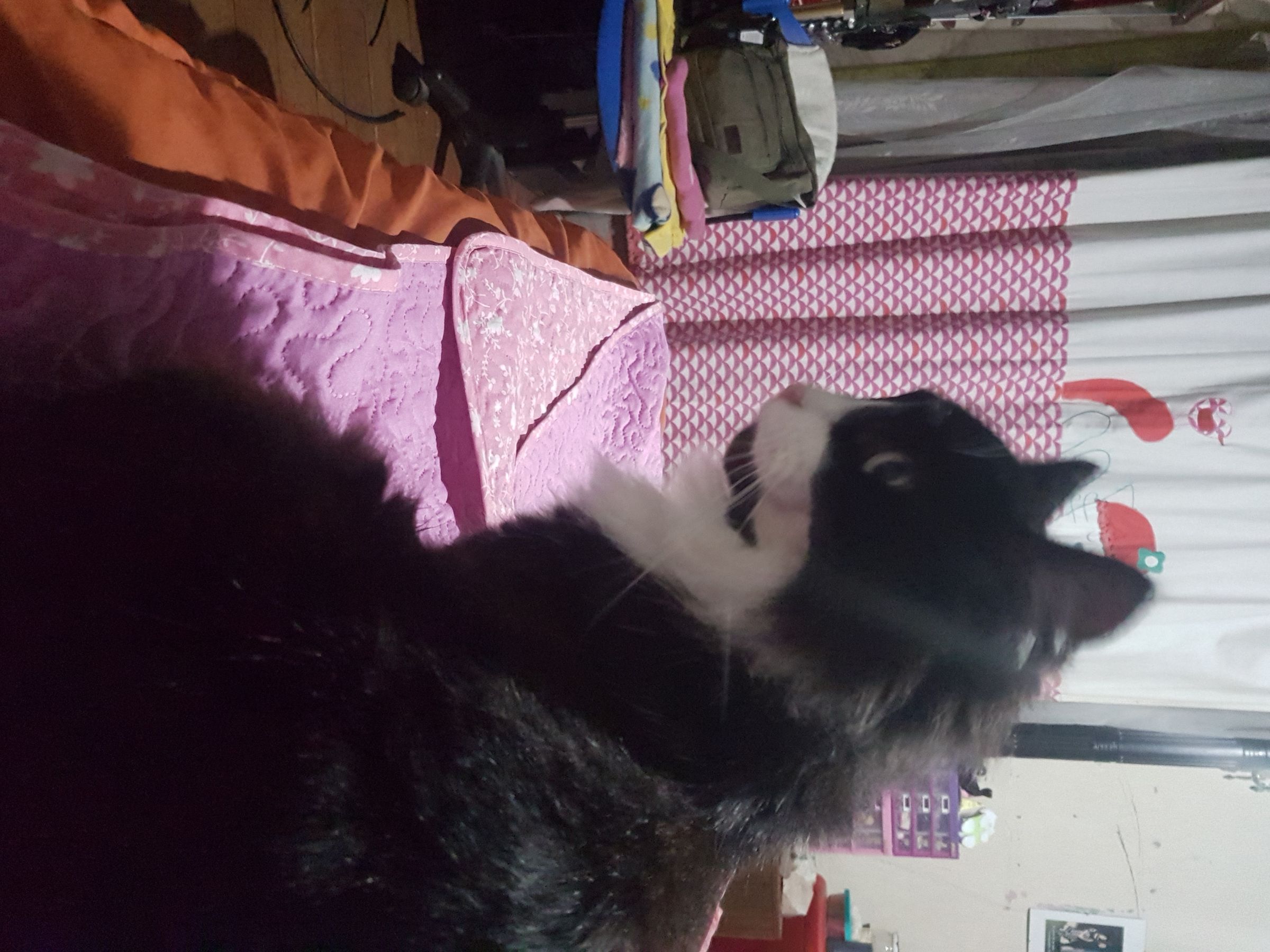20190708_222534.jpg